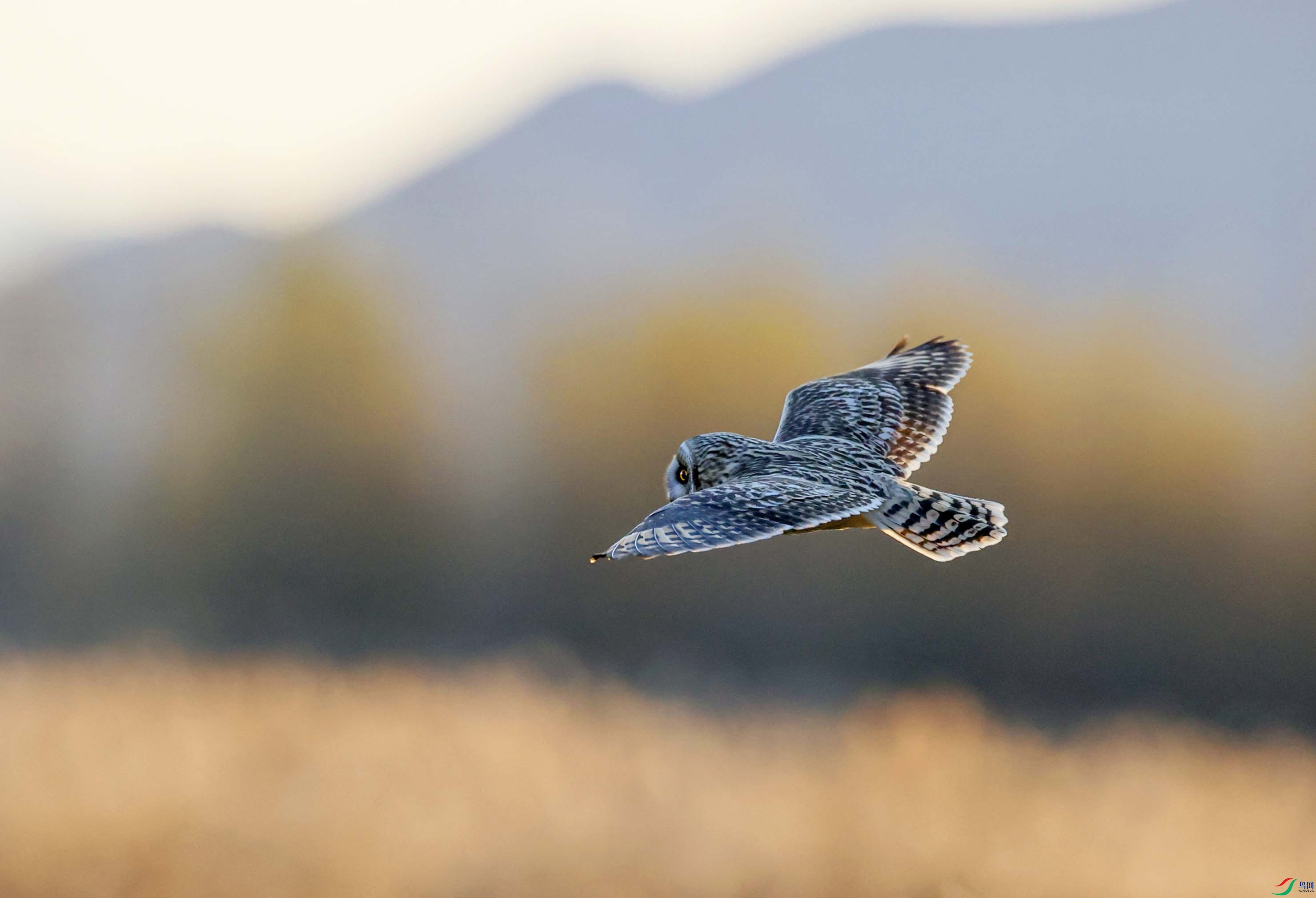 Ϧ�����µĶ̶��^ ����.jpg