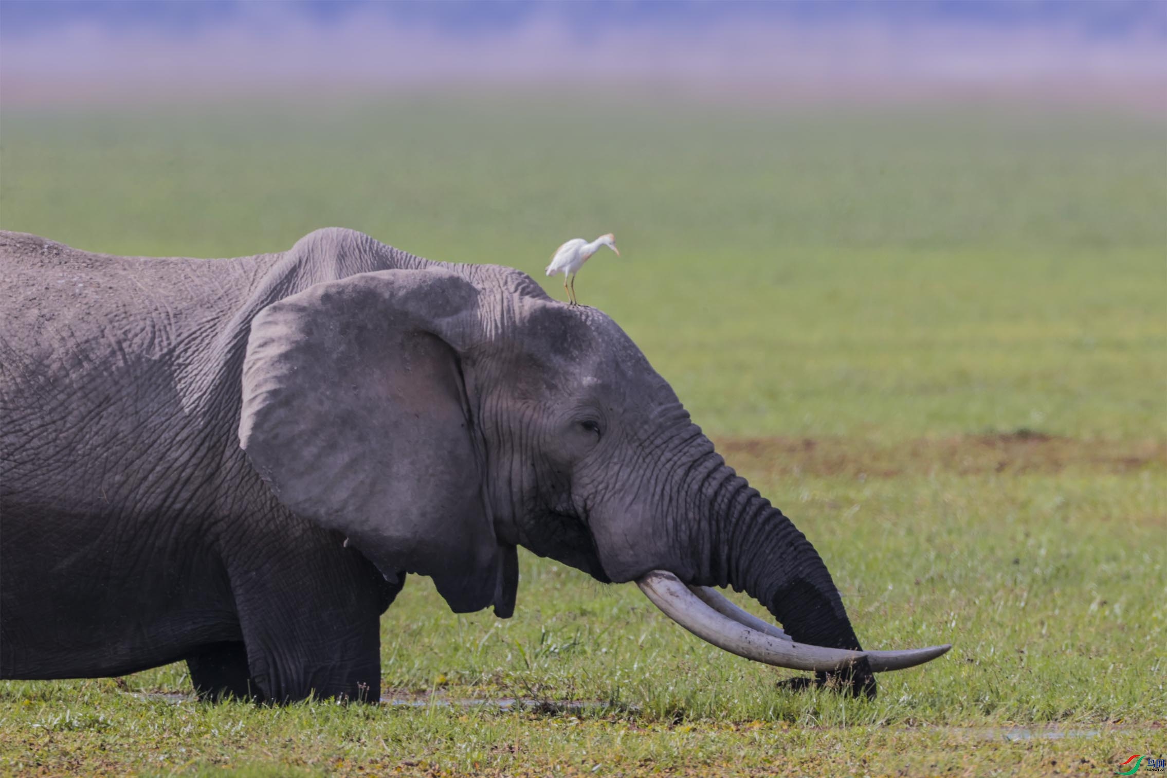 ţ���ظ߸�ռ ����.jpg