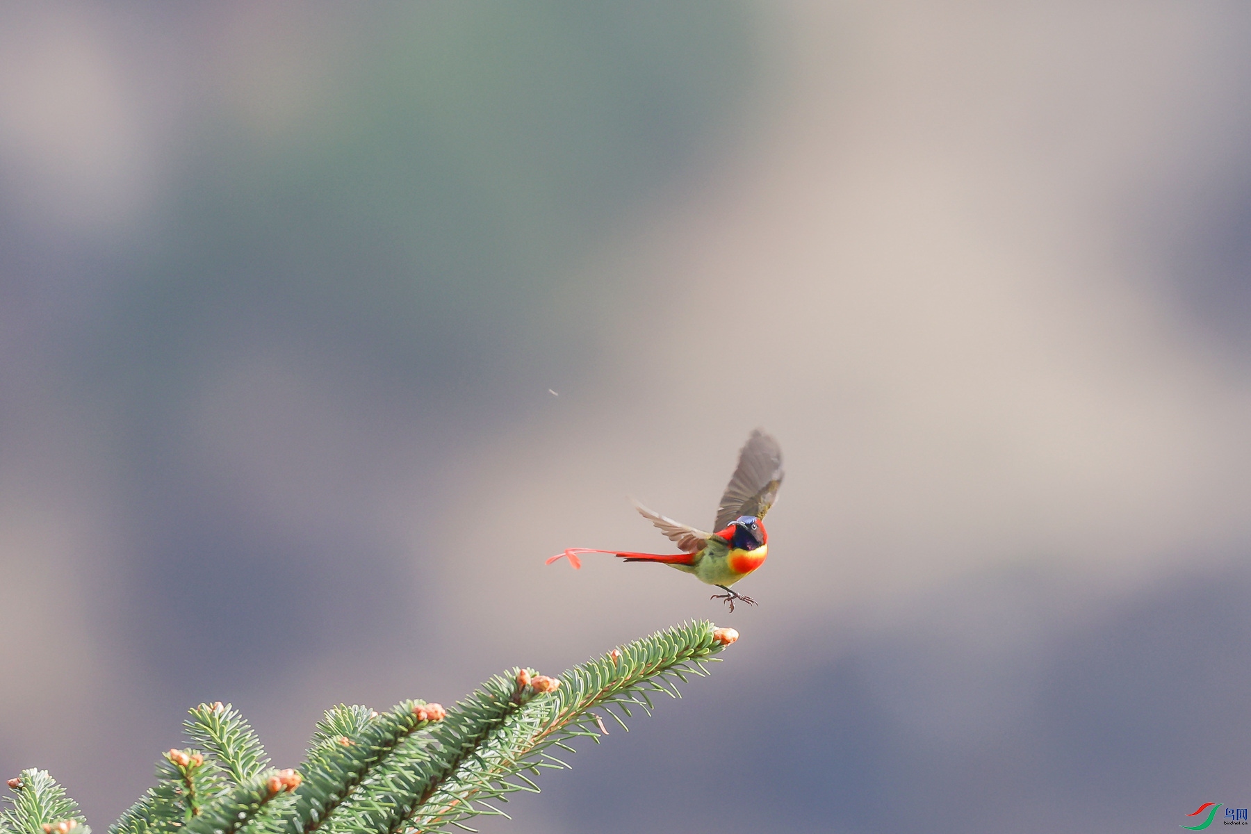 1M6A0676 ����_����.jpg