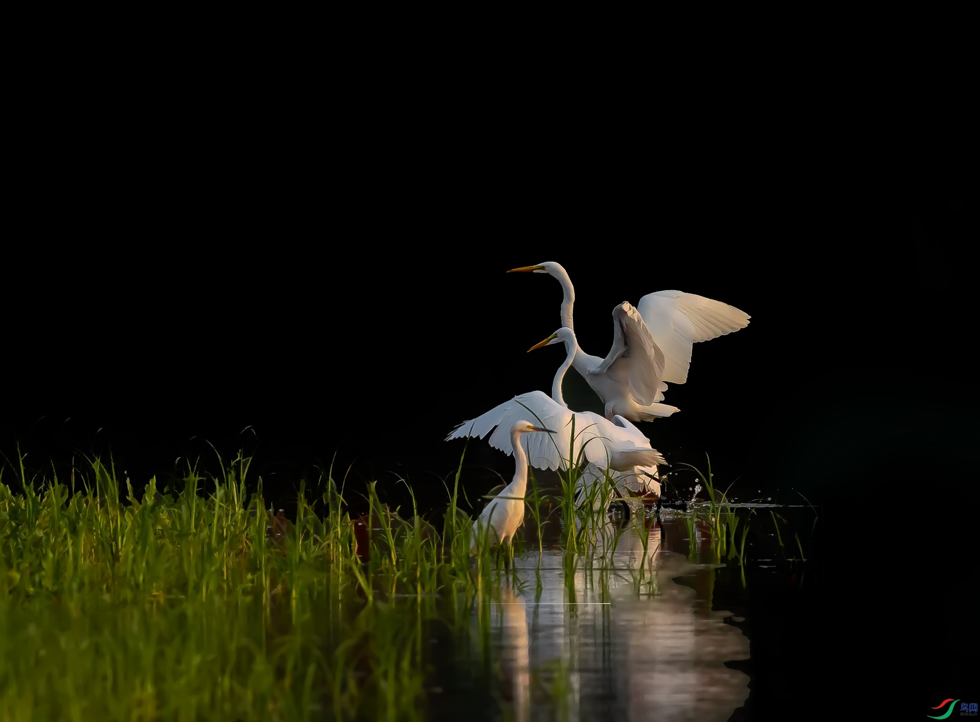 019A3427 ����.jpg