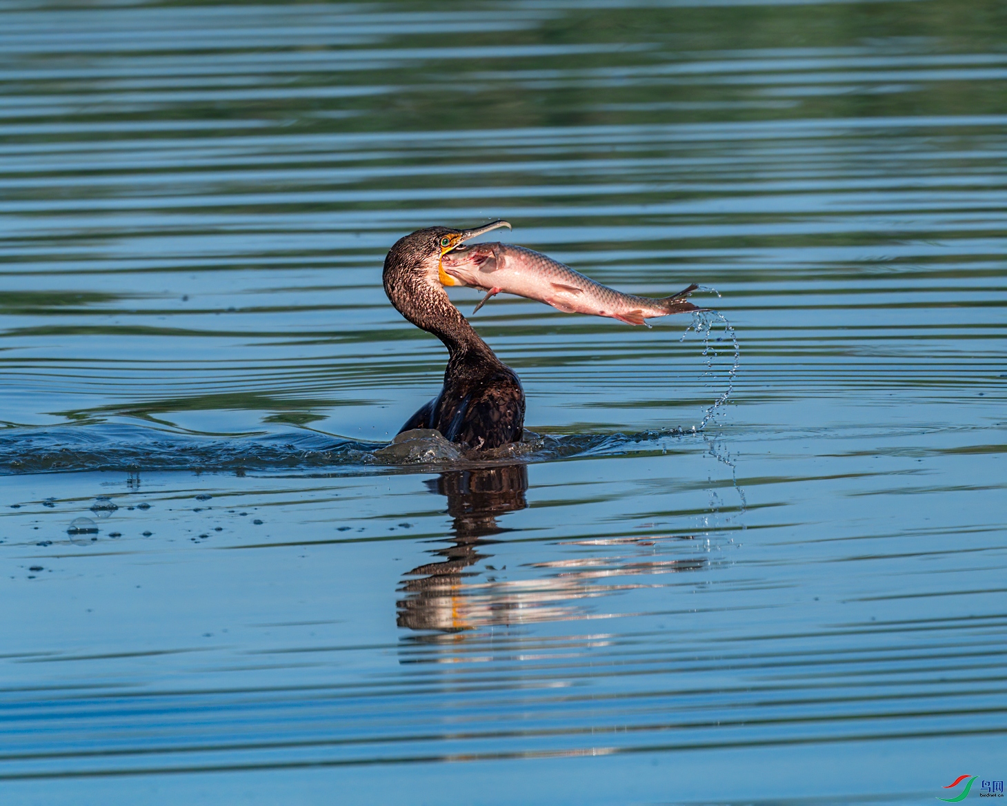 DSC_6555.jpg