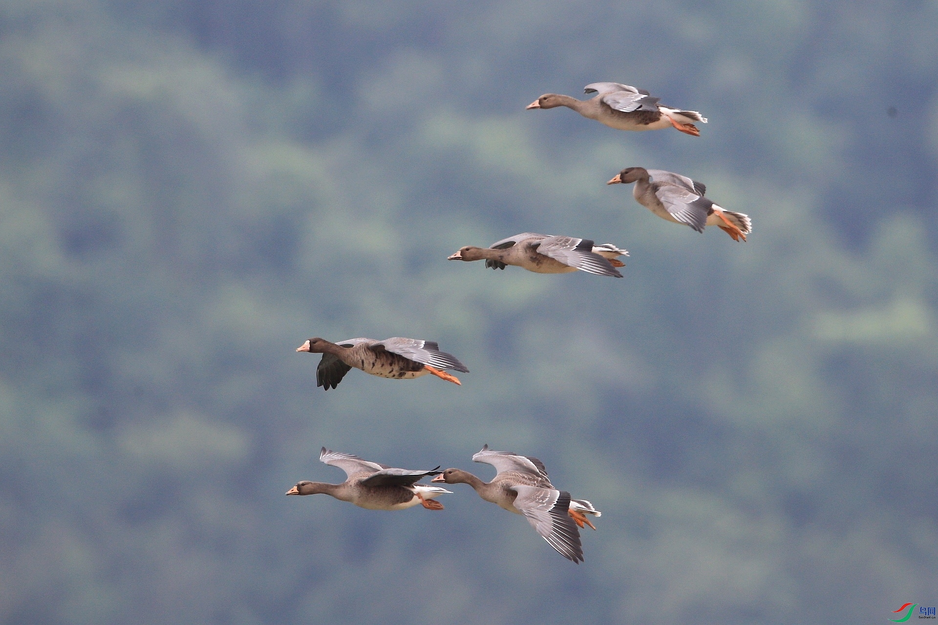 ����IMGL5057�����˼䴦���� ���Ʈ�����Ϸ�.JPG