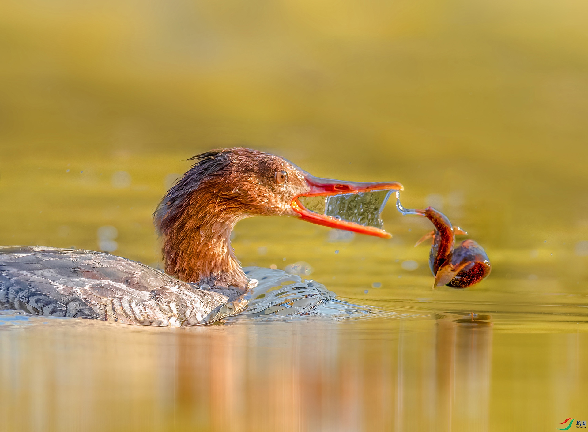 _JLN7149     ok (2).jpg