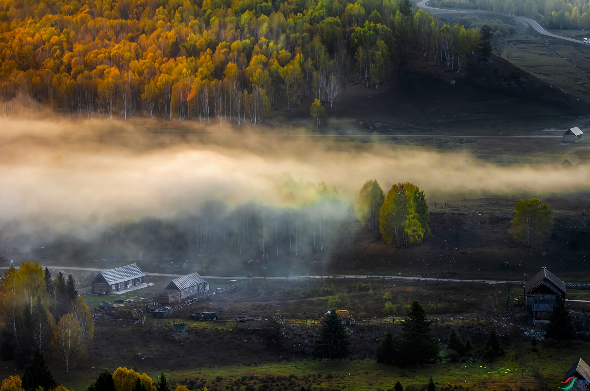 _DSC9250- ��ľ���.jpg