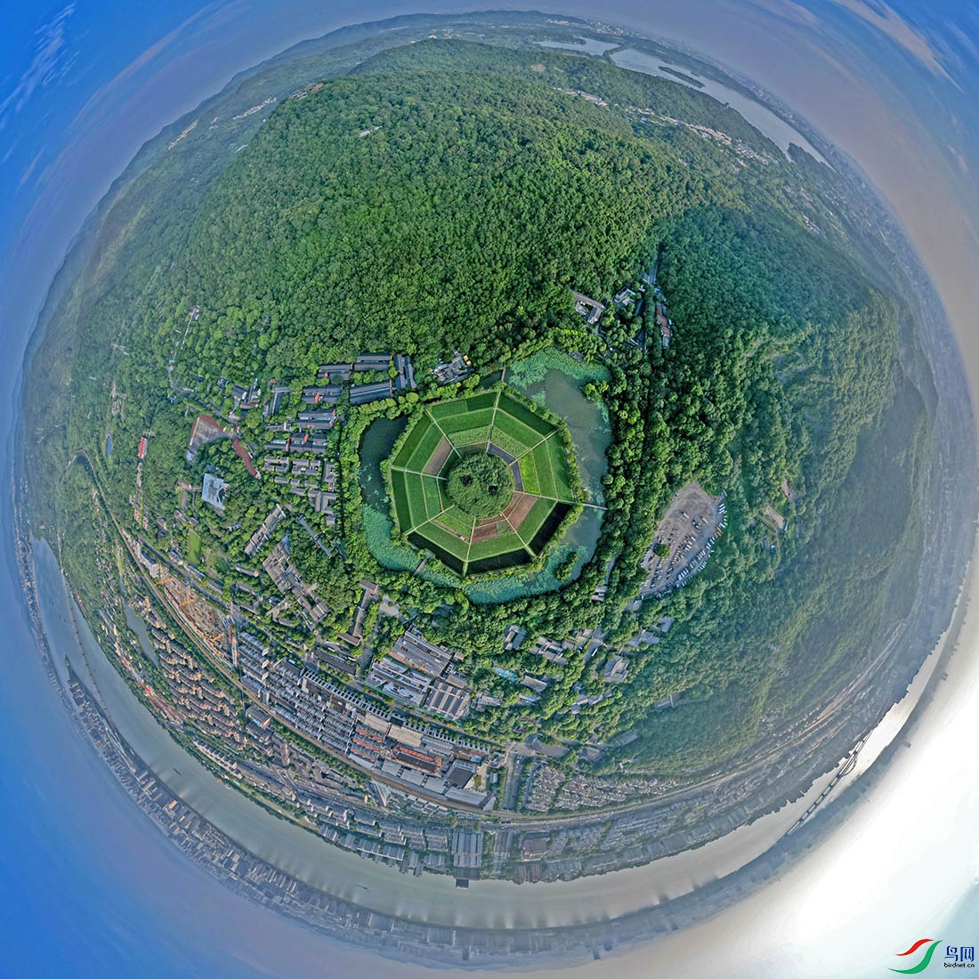 DJI_0818.jpg