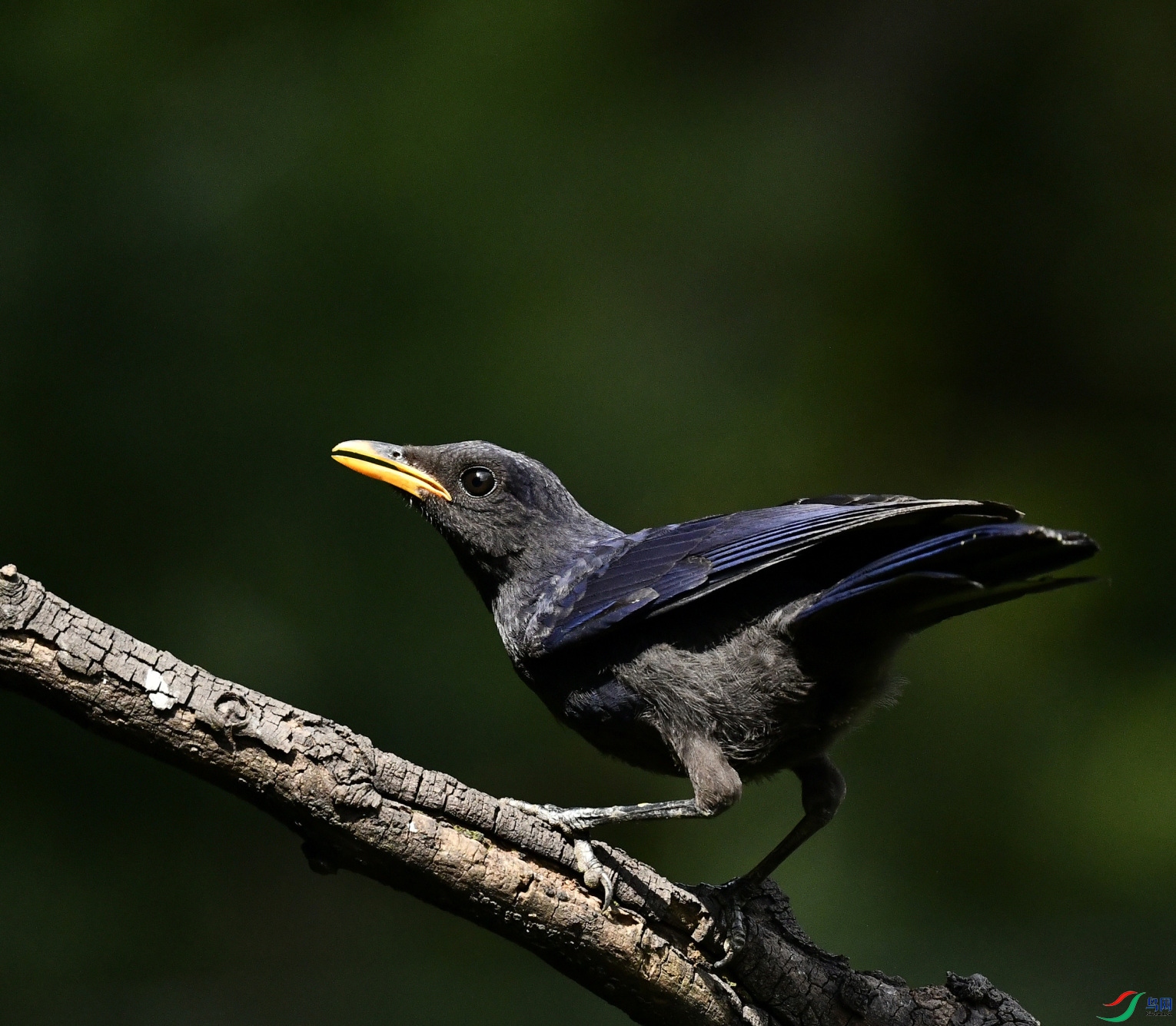 _DSC6637_355_01.JPG