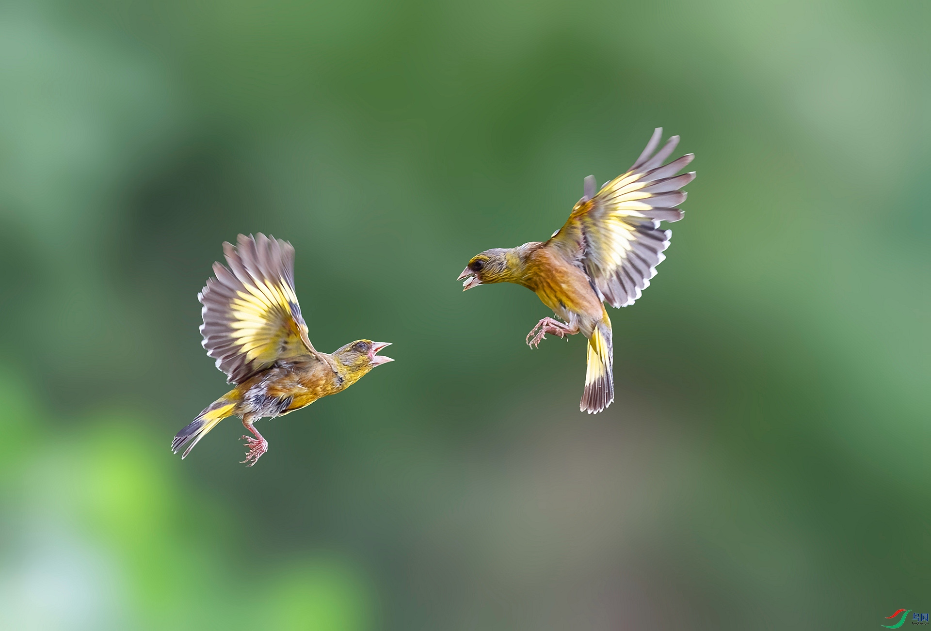 DSC_0271 ����_����.jpg