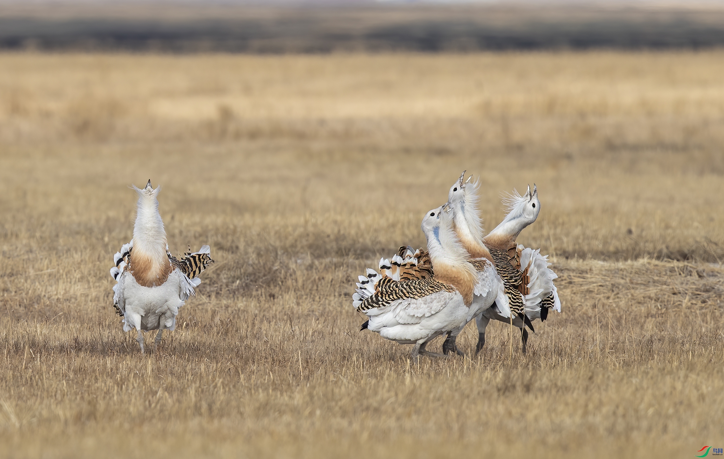 AC3I6775 ����.jpg