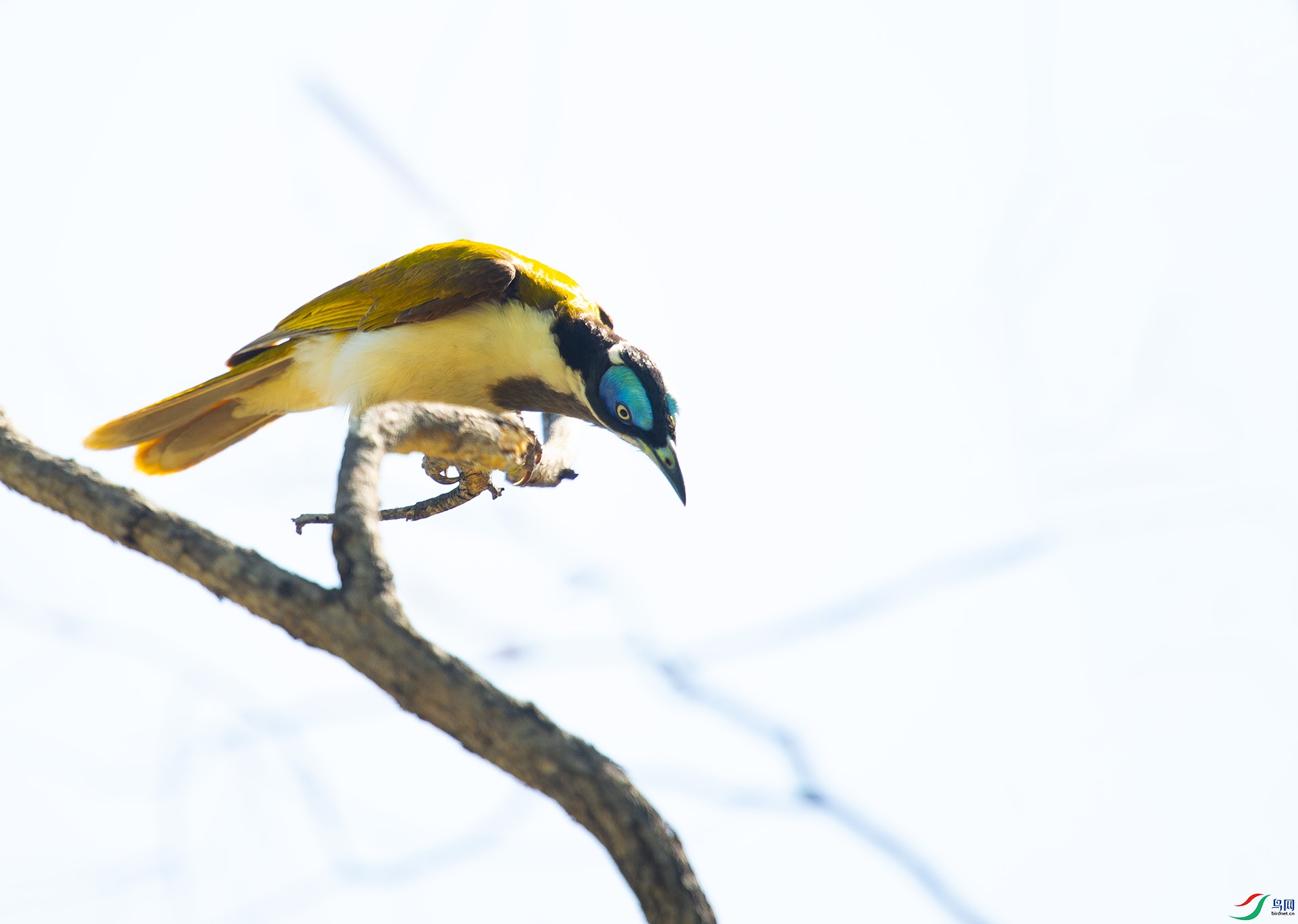 ��DSC_4718 ��ؐ.jpg