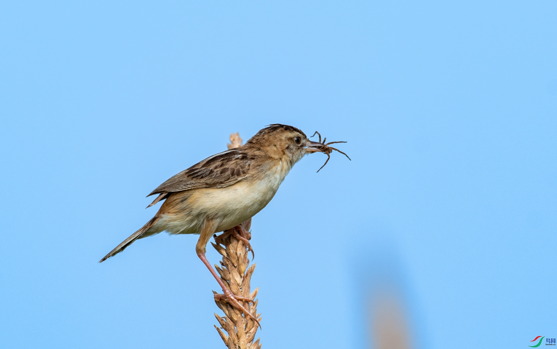 DSC_8142.jpg