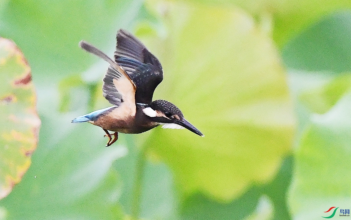 DSC_1025.JPG