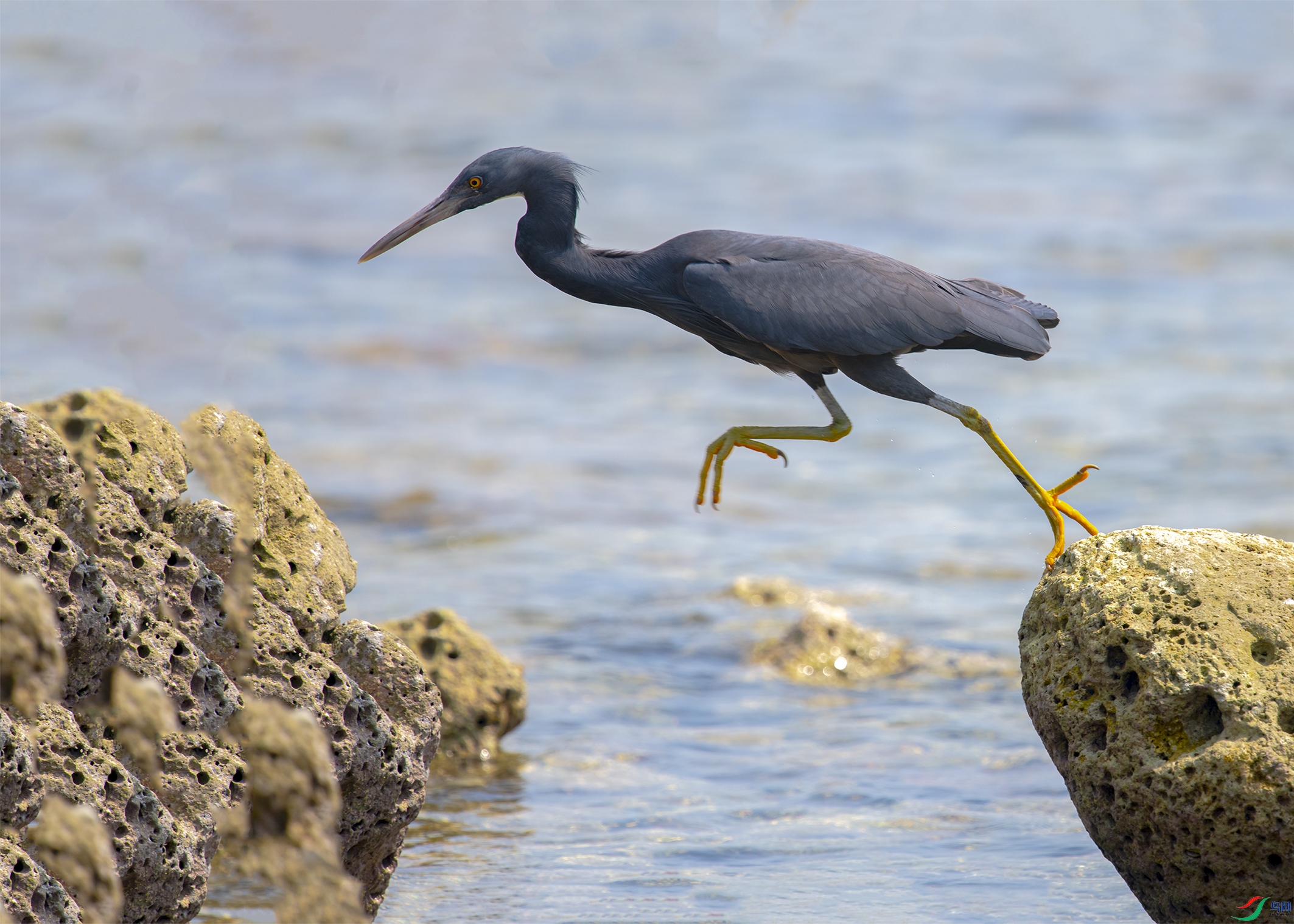 1765 ����.jpg