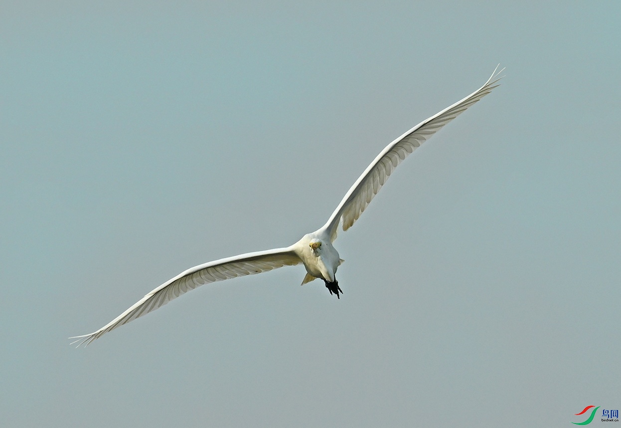 DSC_1930.jpg