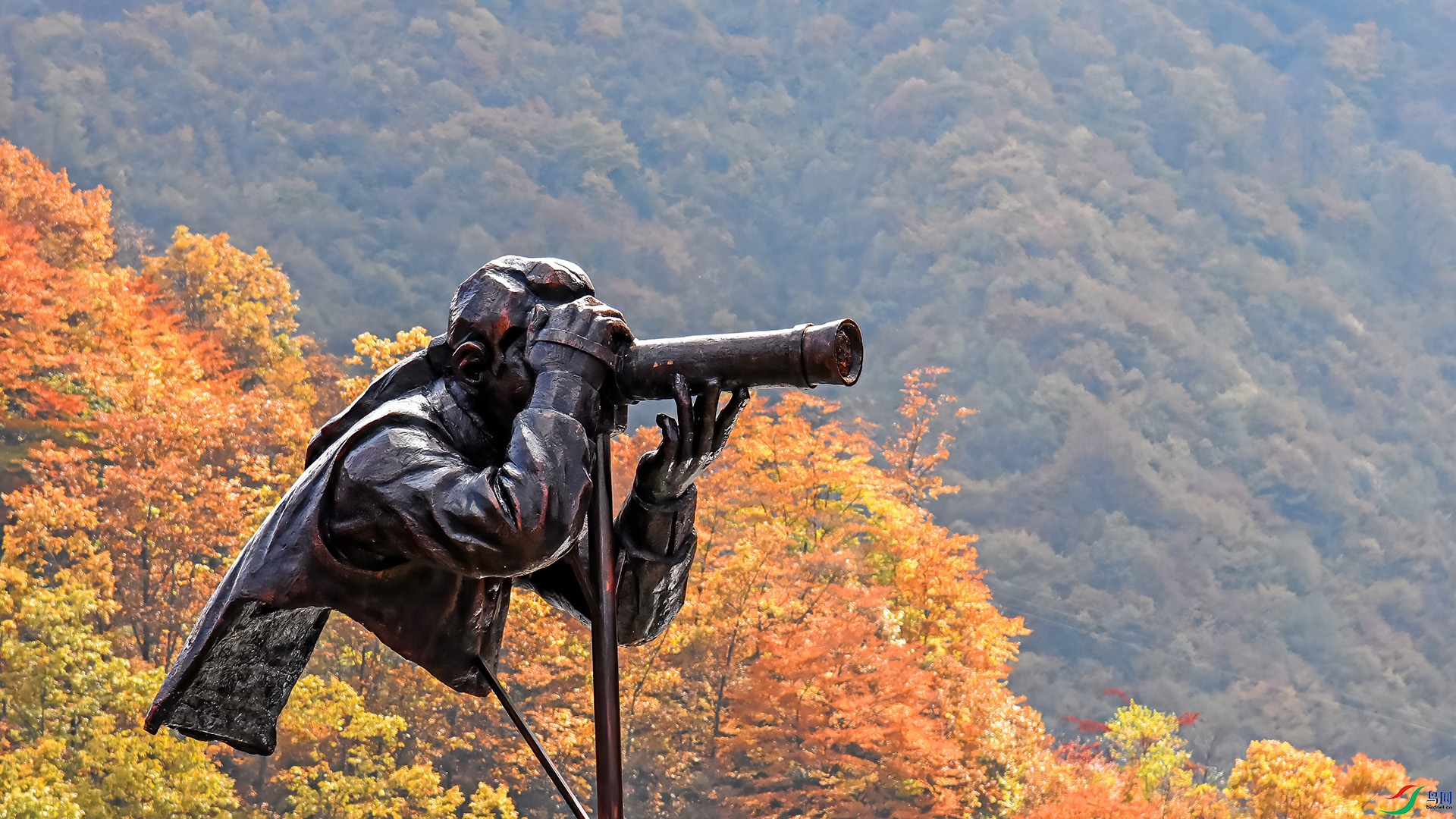 DSC_6404 ����.jpg