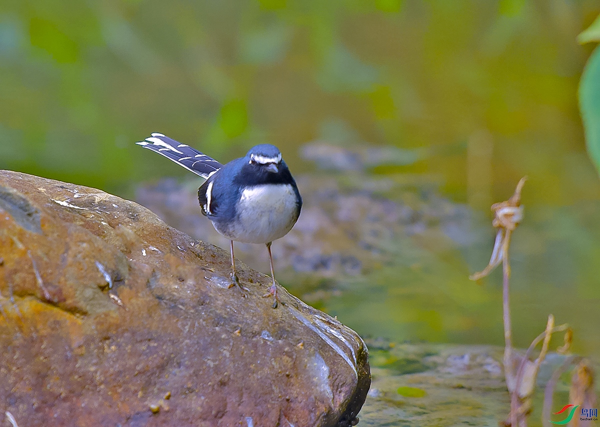 DSC_8819.JPG