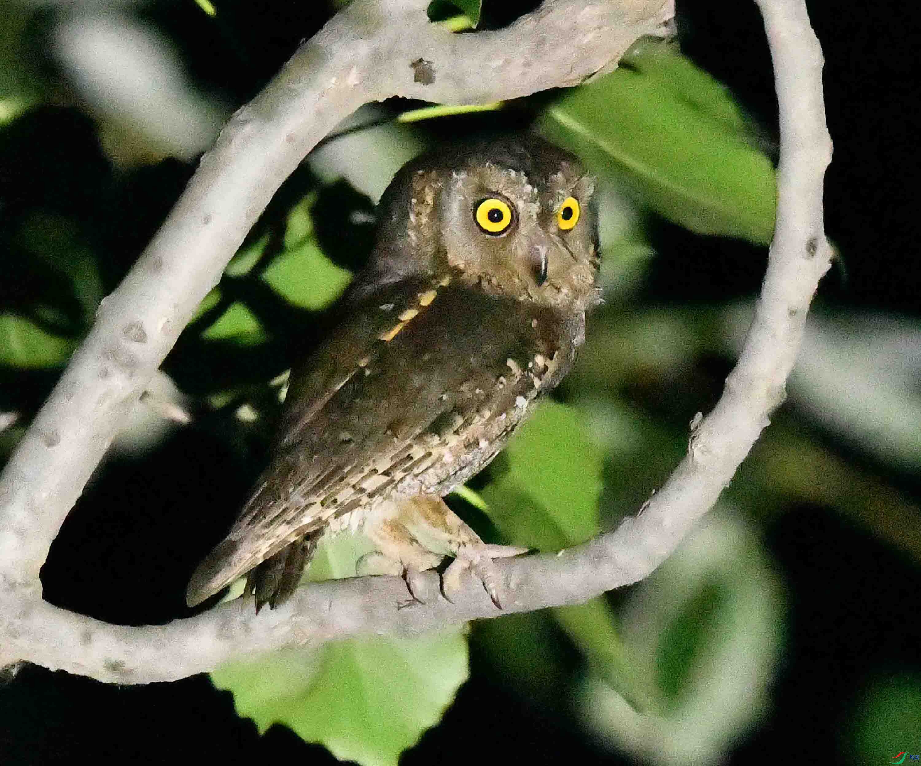DSC_4386.JPG