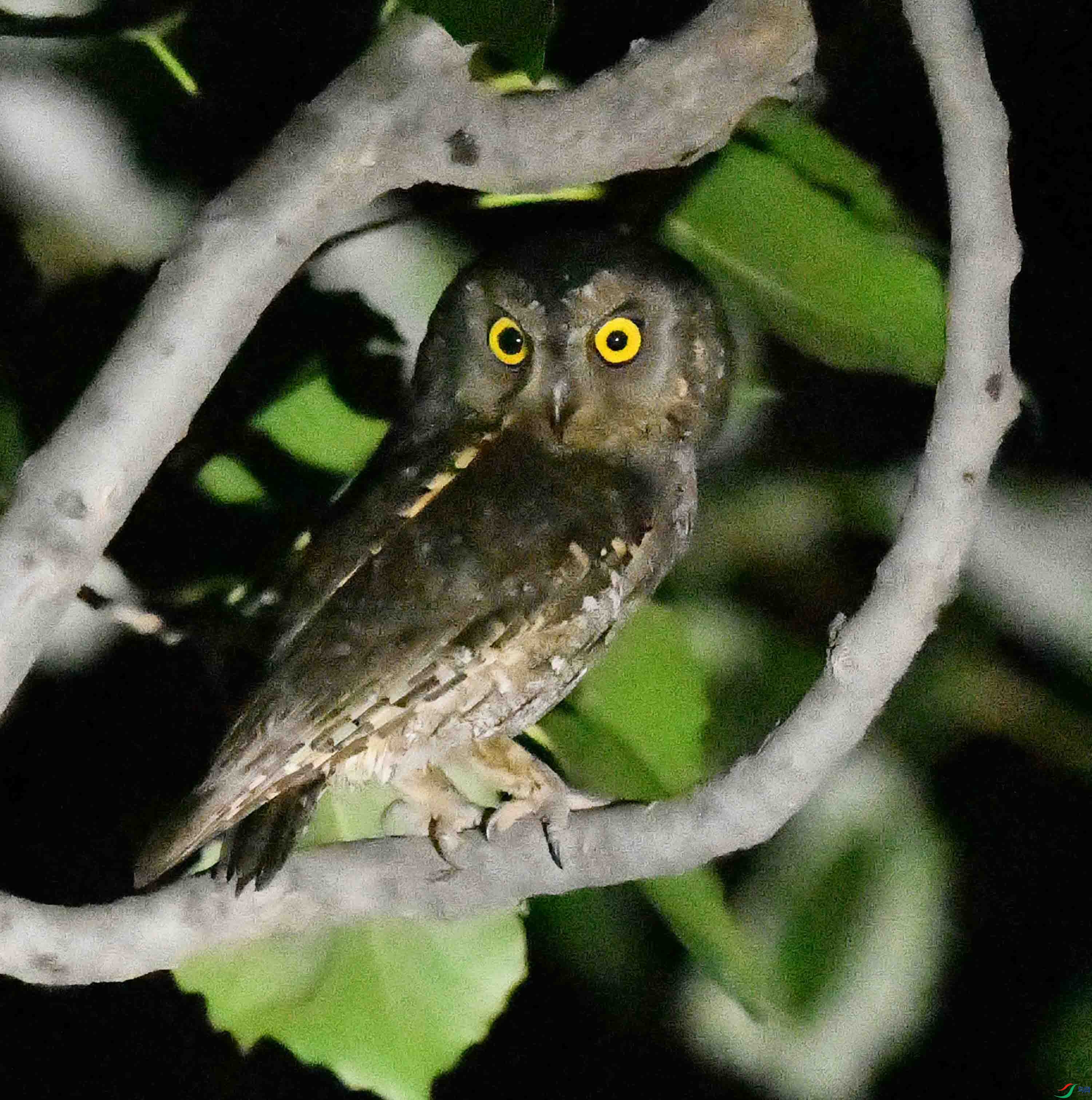 DSC_4404.JPG