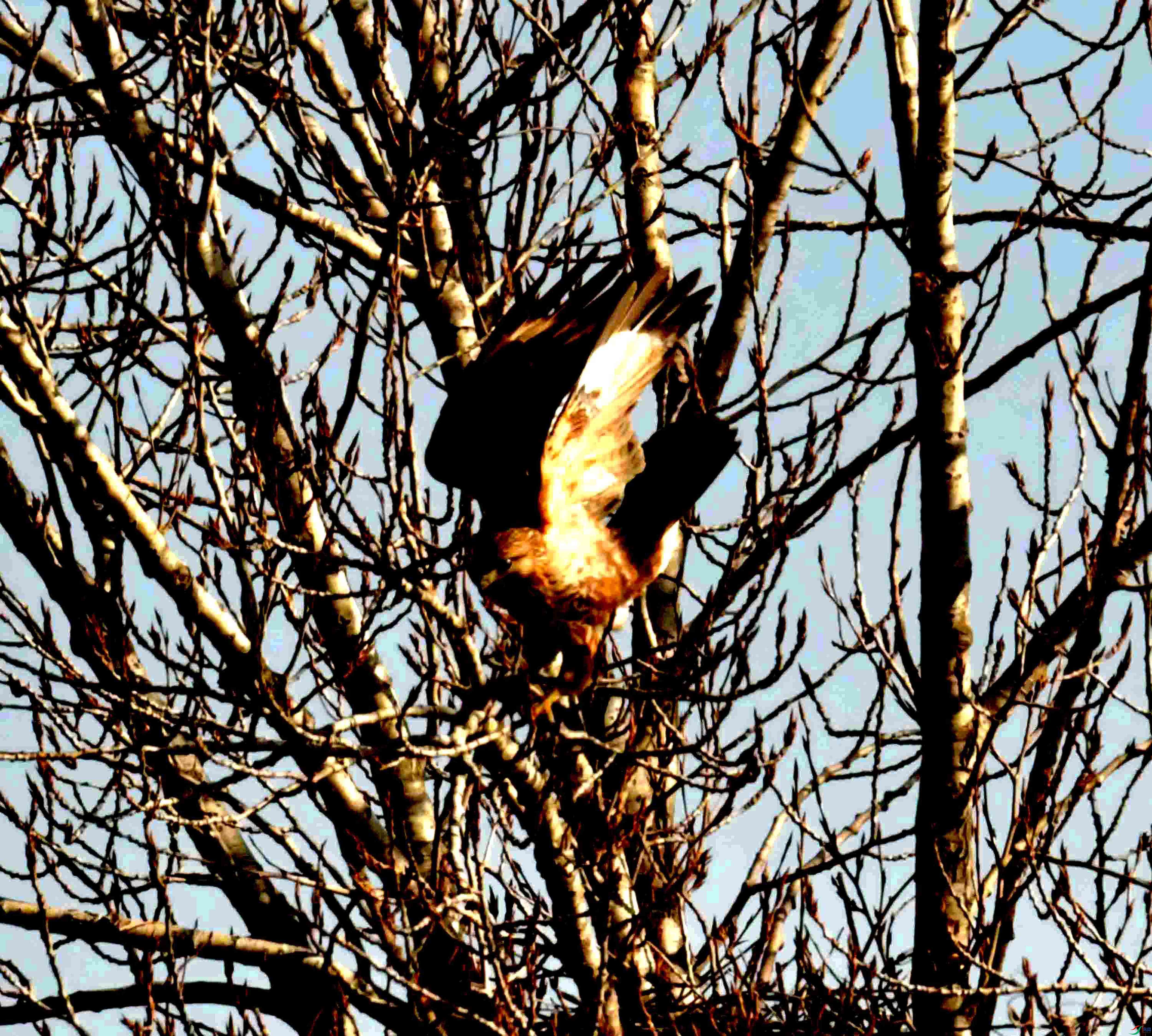 DSC_2028.JPG