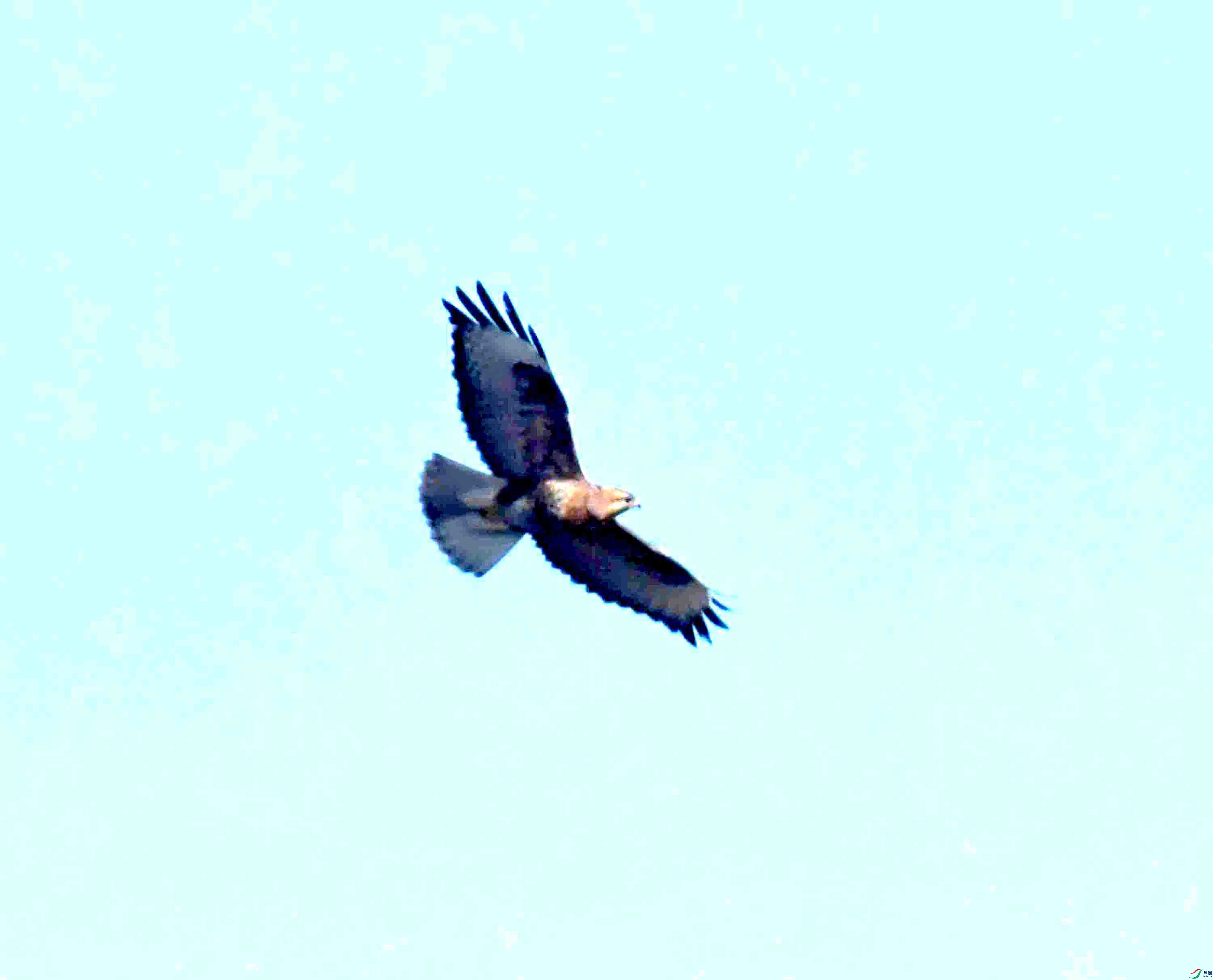 DSC_2125.JPG