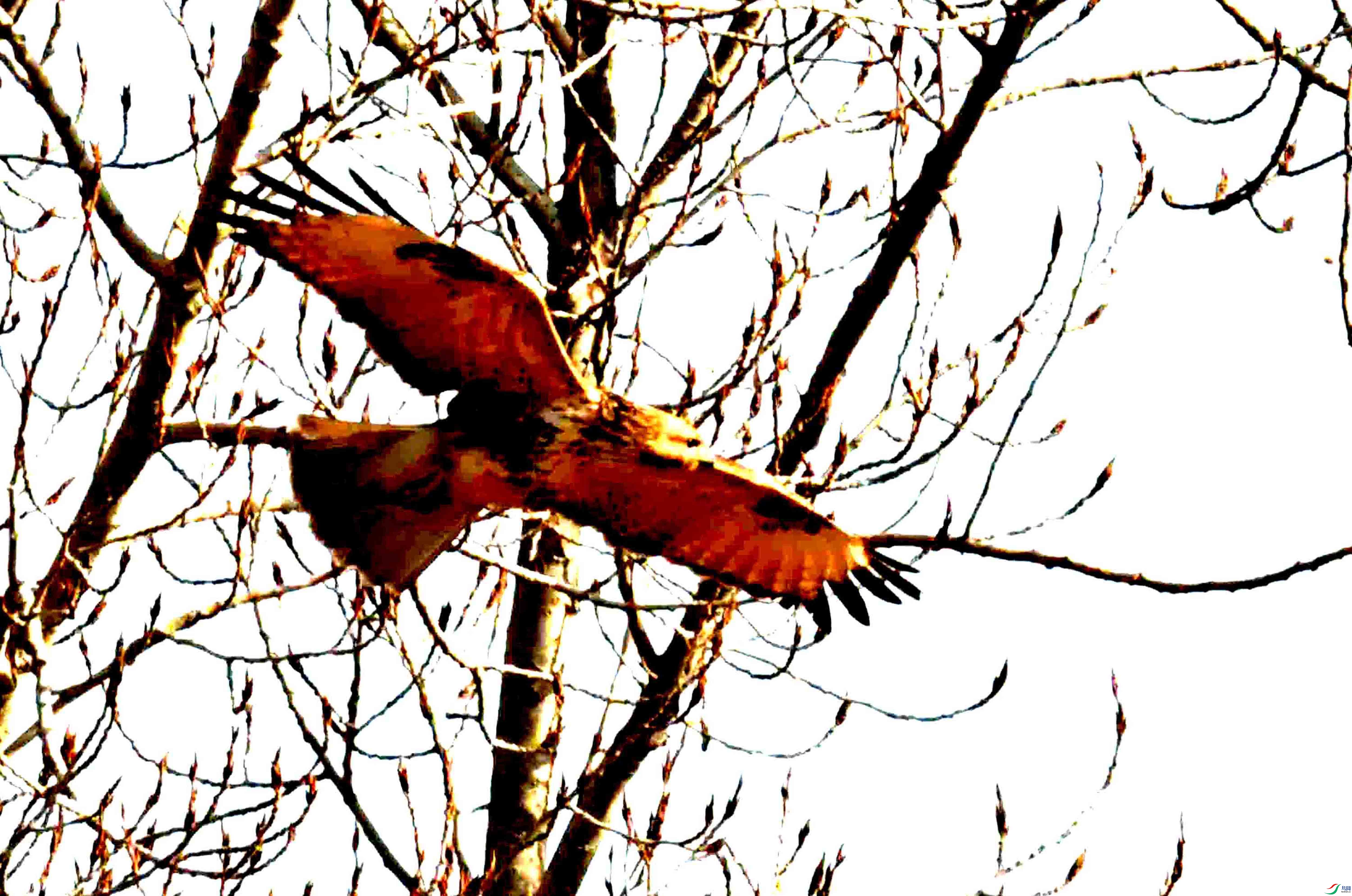 DSC_2107.JPG