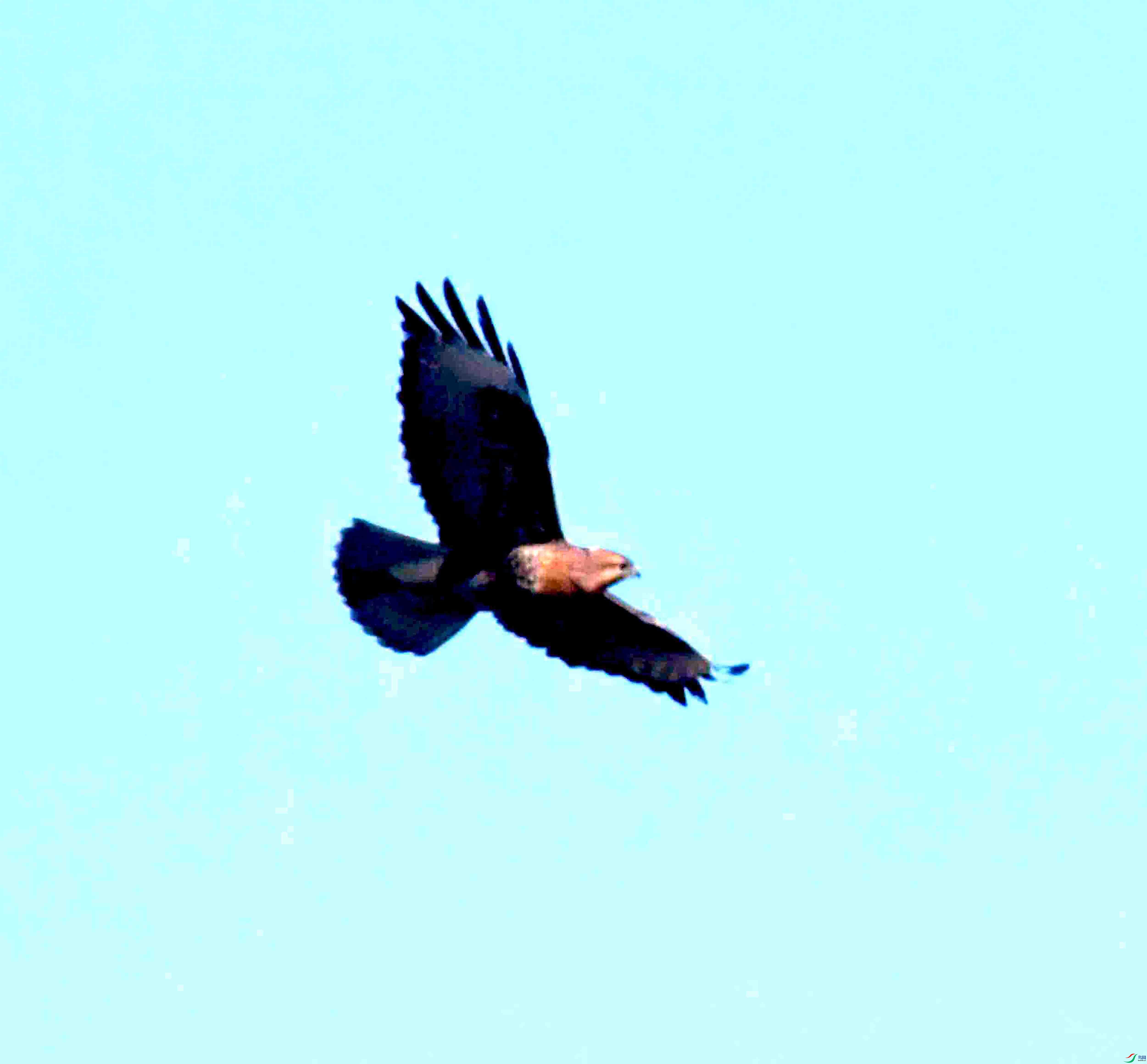 DSC_2126.JPG