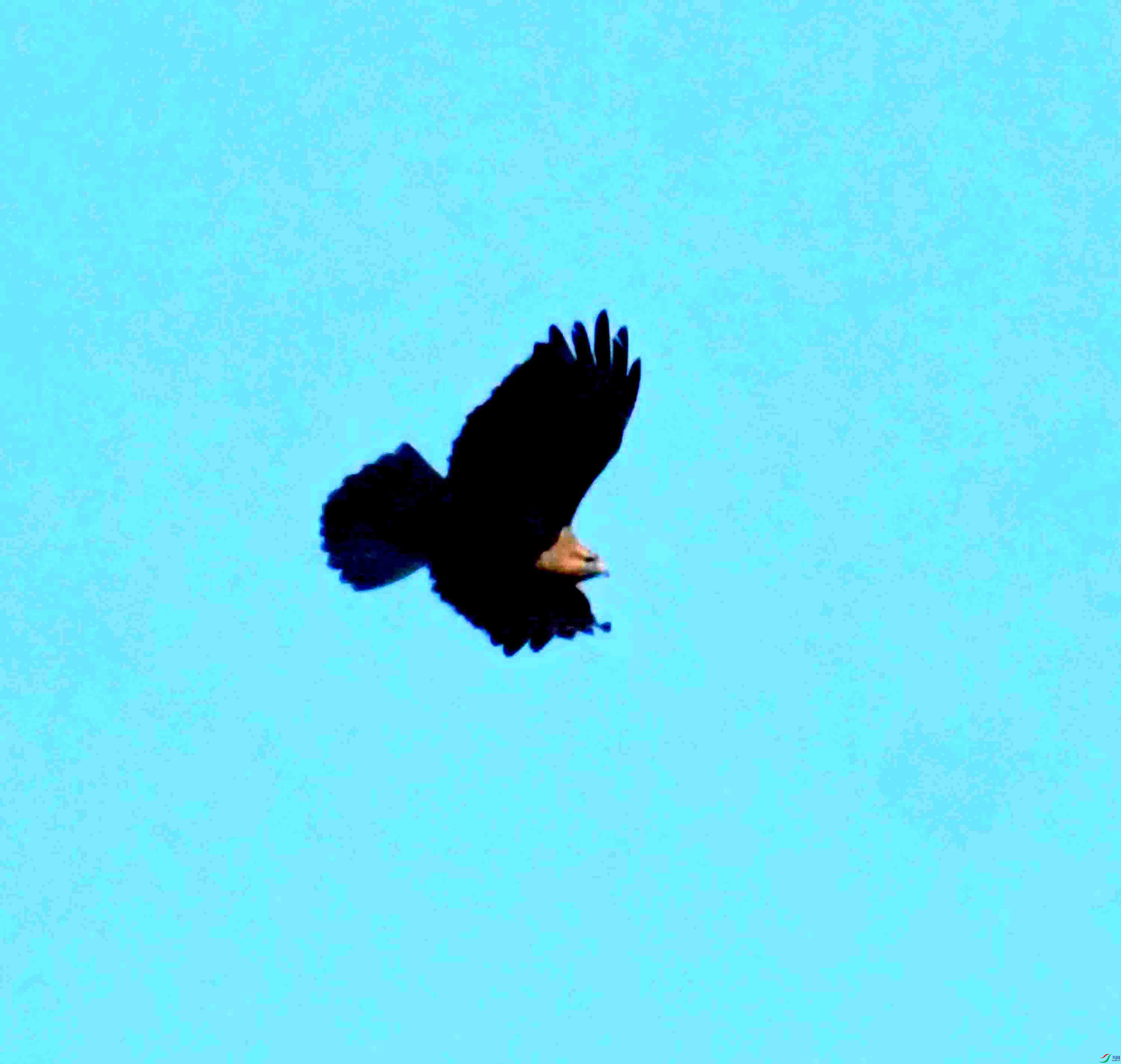 DSC_2136.JPG