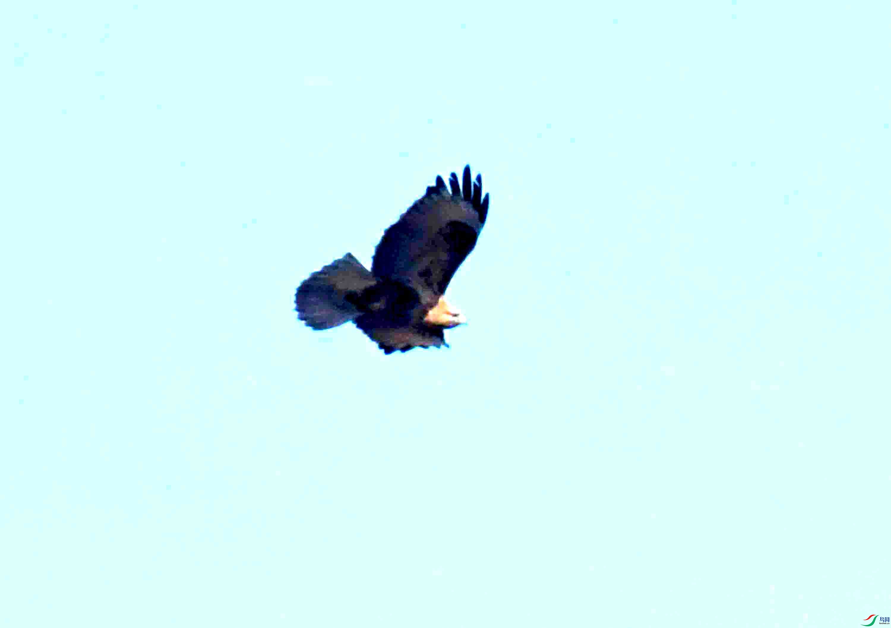 DSC_2137.JPG