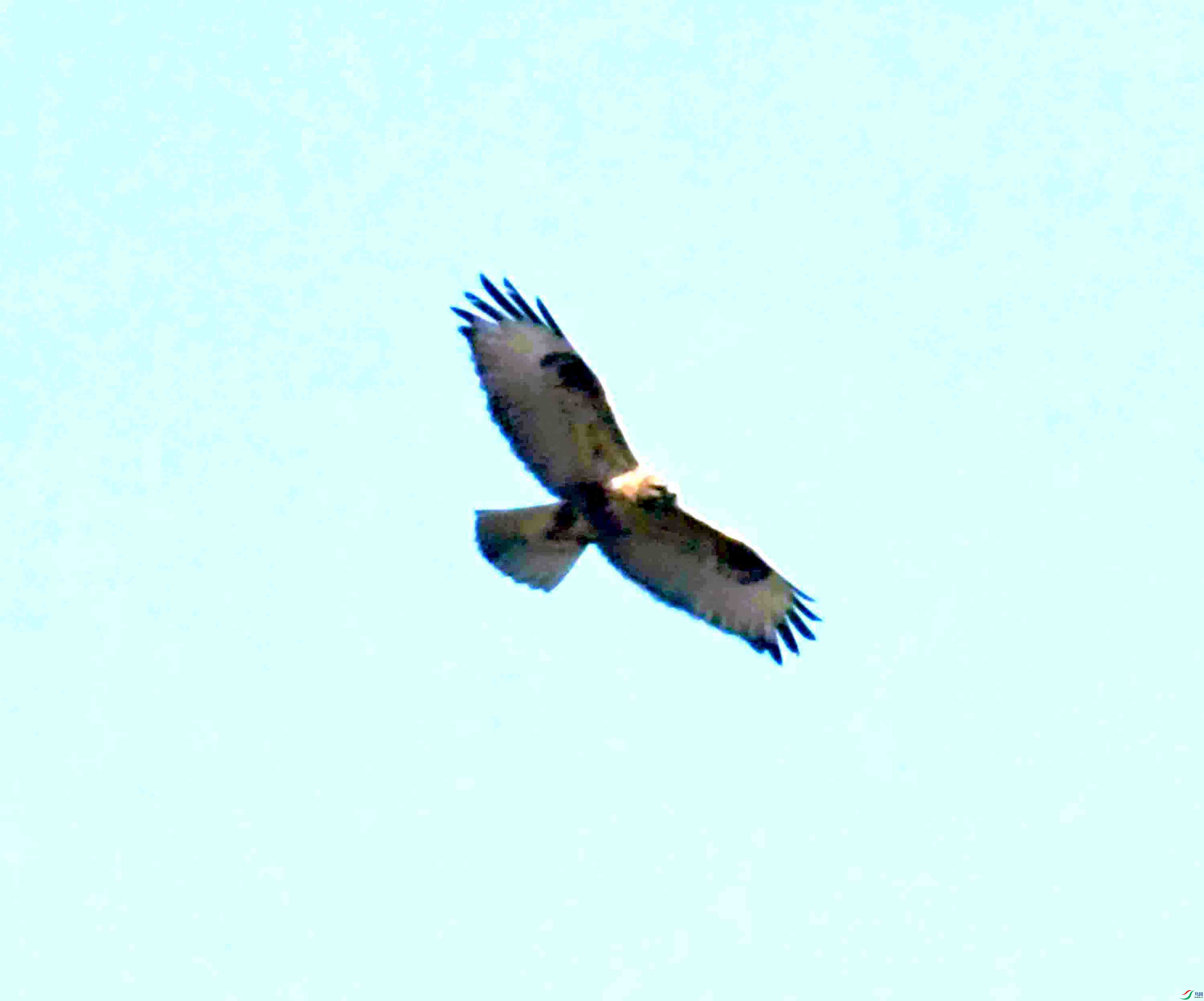 DSC_2146.JPG