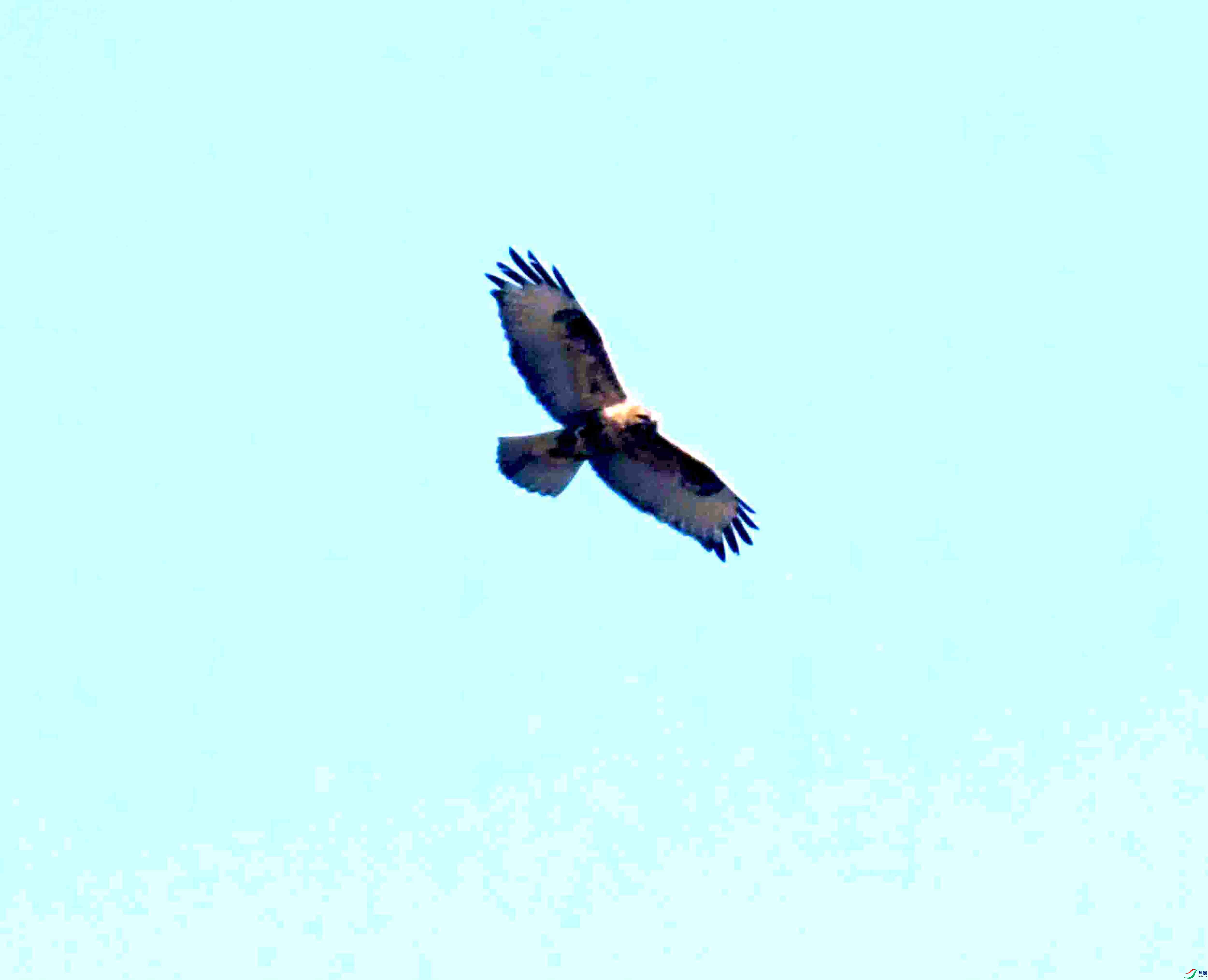DSC_2147.JPG