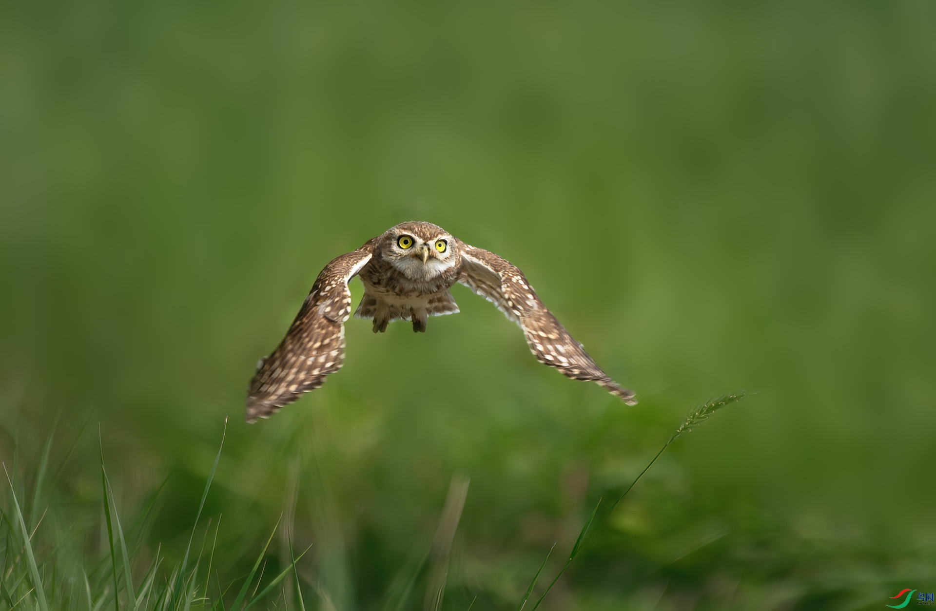 DSC_5501 -1.jpg