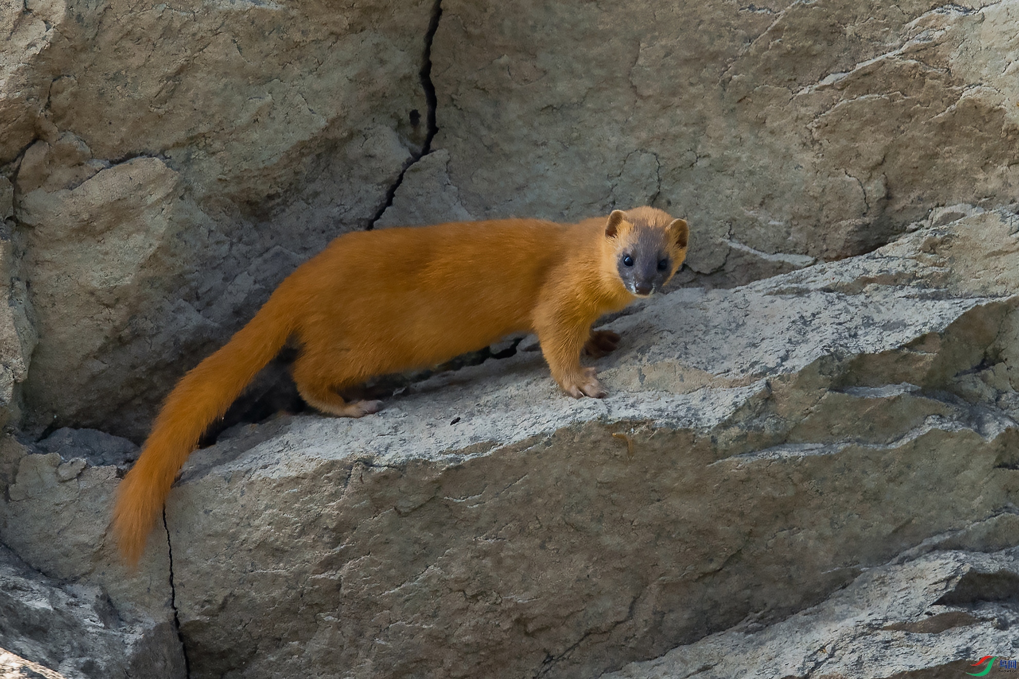 _DSC3360 ���� 2.jpg