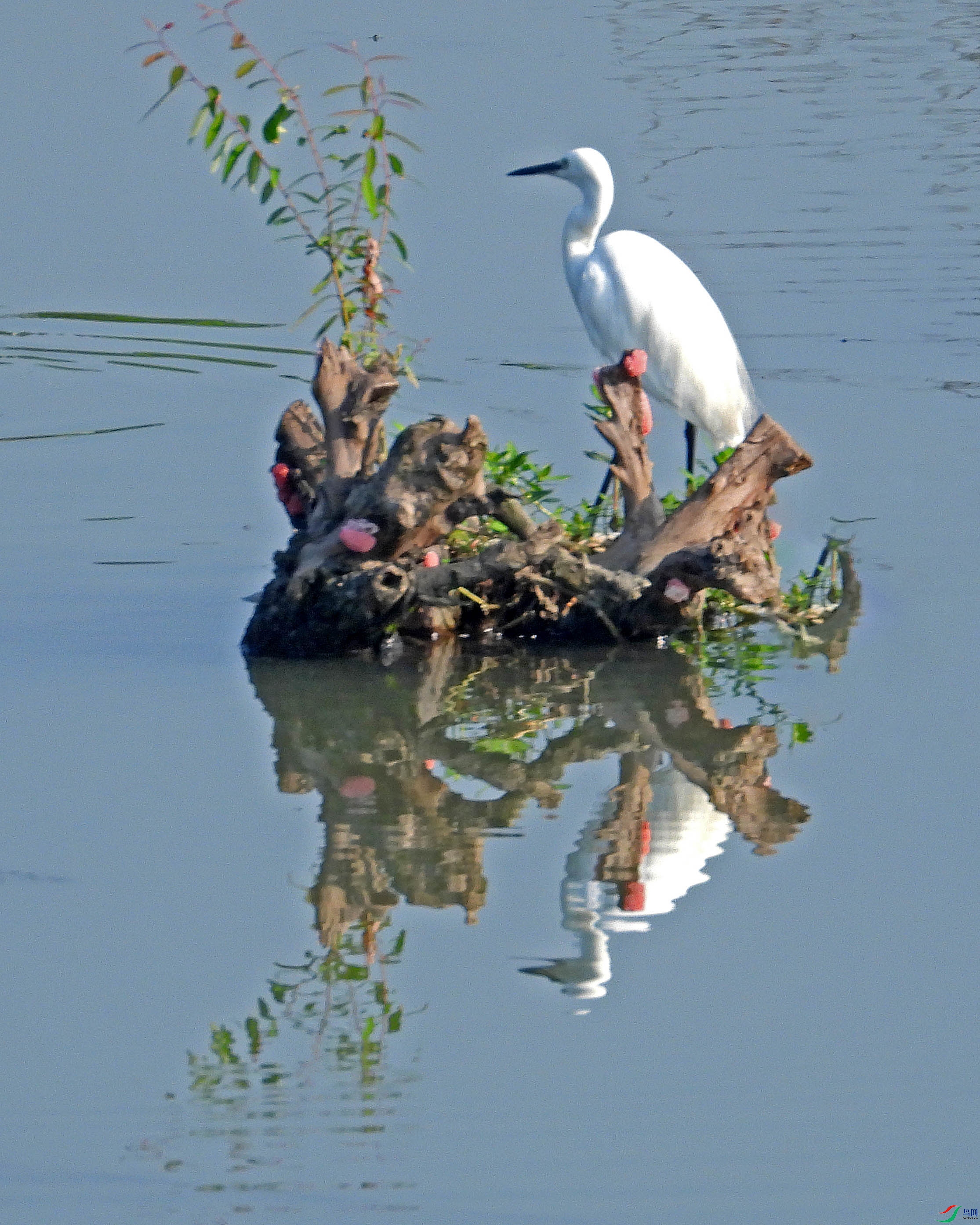 DSCN8721.JPG