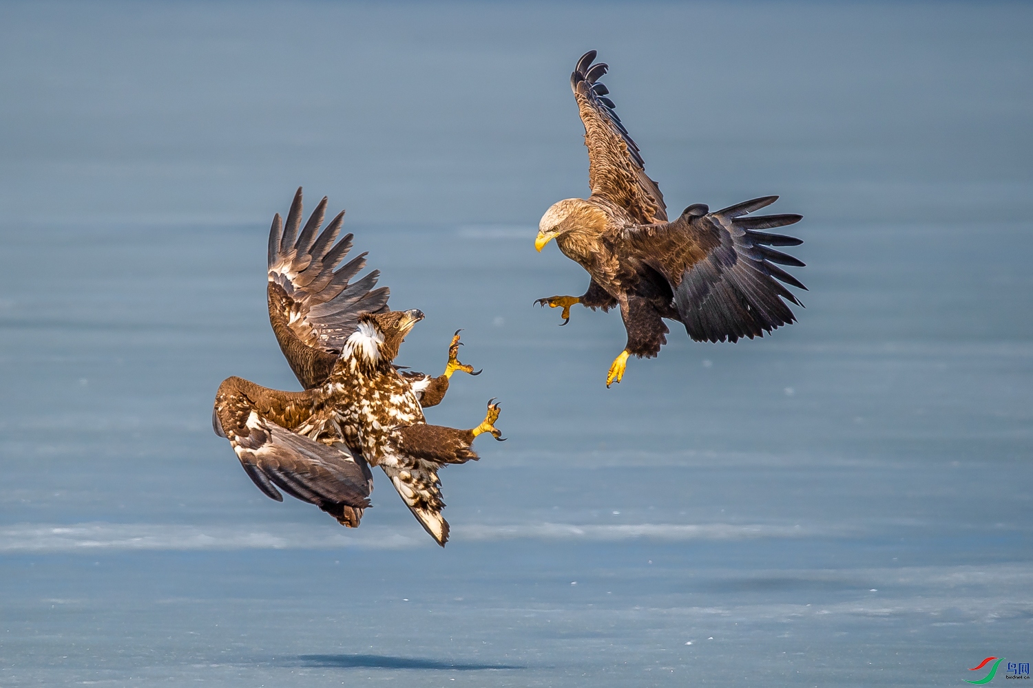 DSC_6193_2.jpg