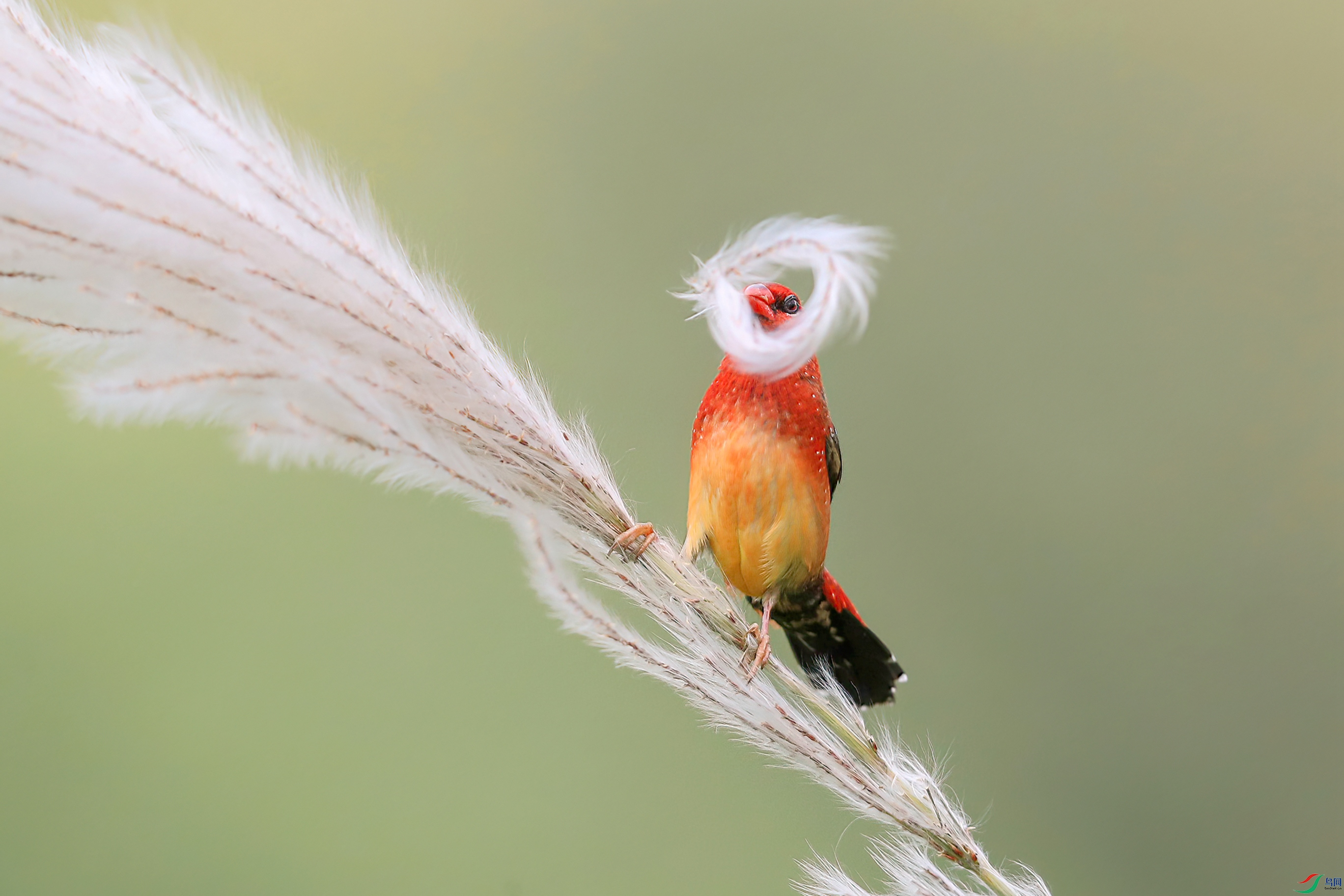 A17I9271 (2)_����_����.jpg