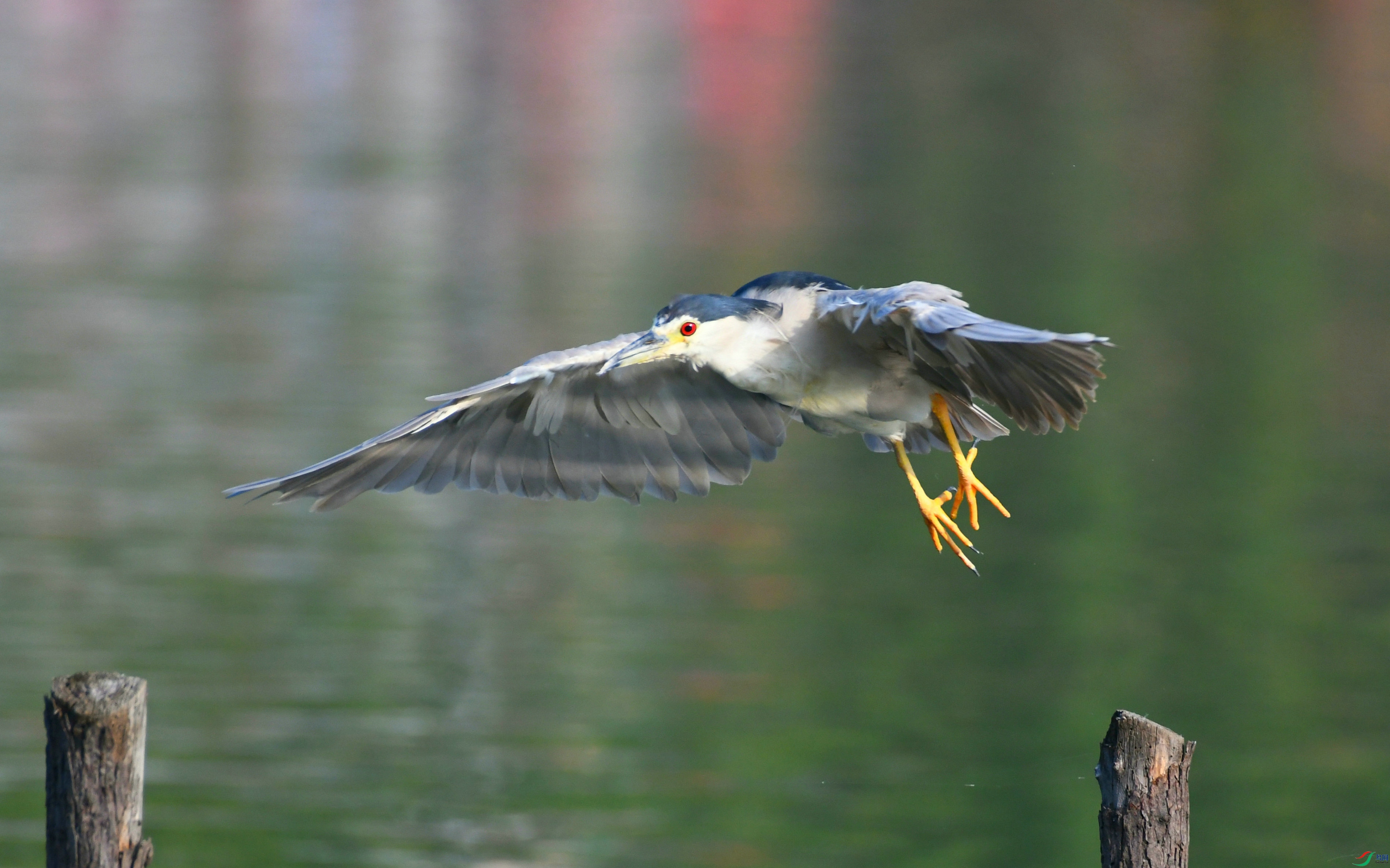 DSC_5408.JPG
