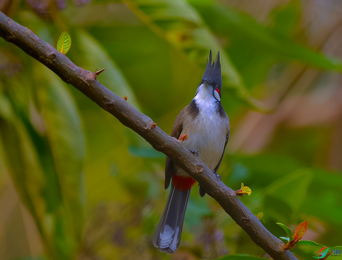 DSC_3410.JPG