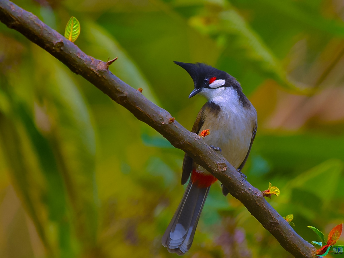 DSC_3413.JPG