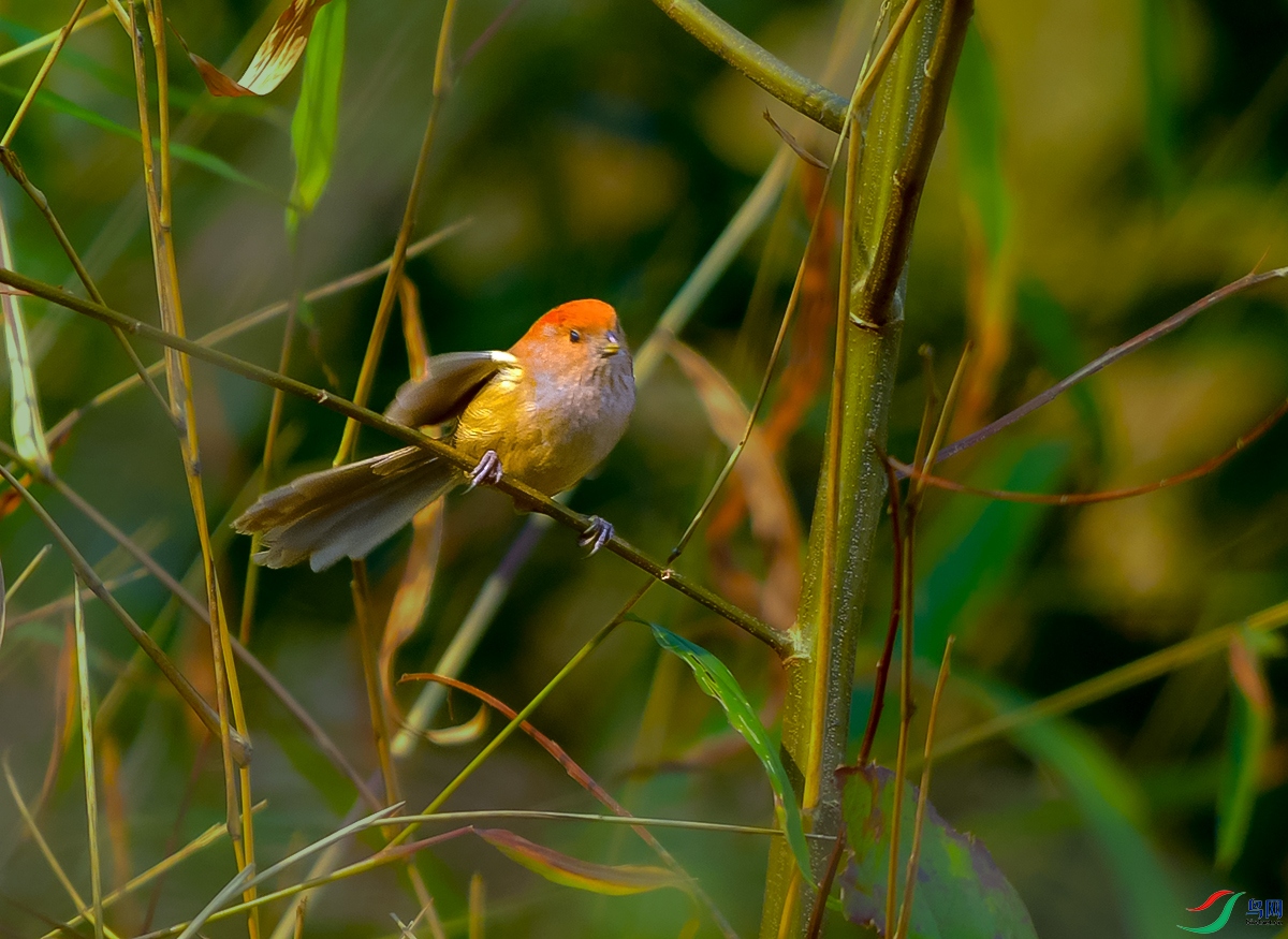 DSC_3473.JPG