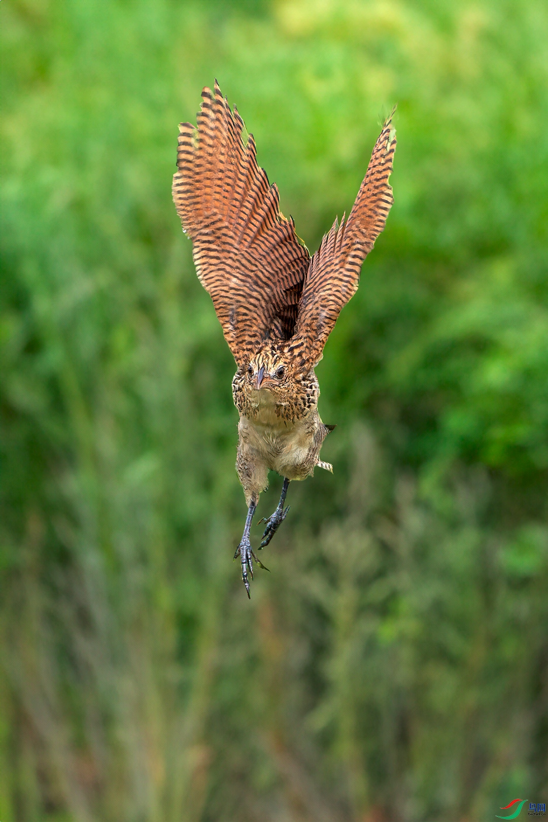 P8203655-ORF_DxO_DeepPRIMEXD.jpg