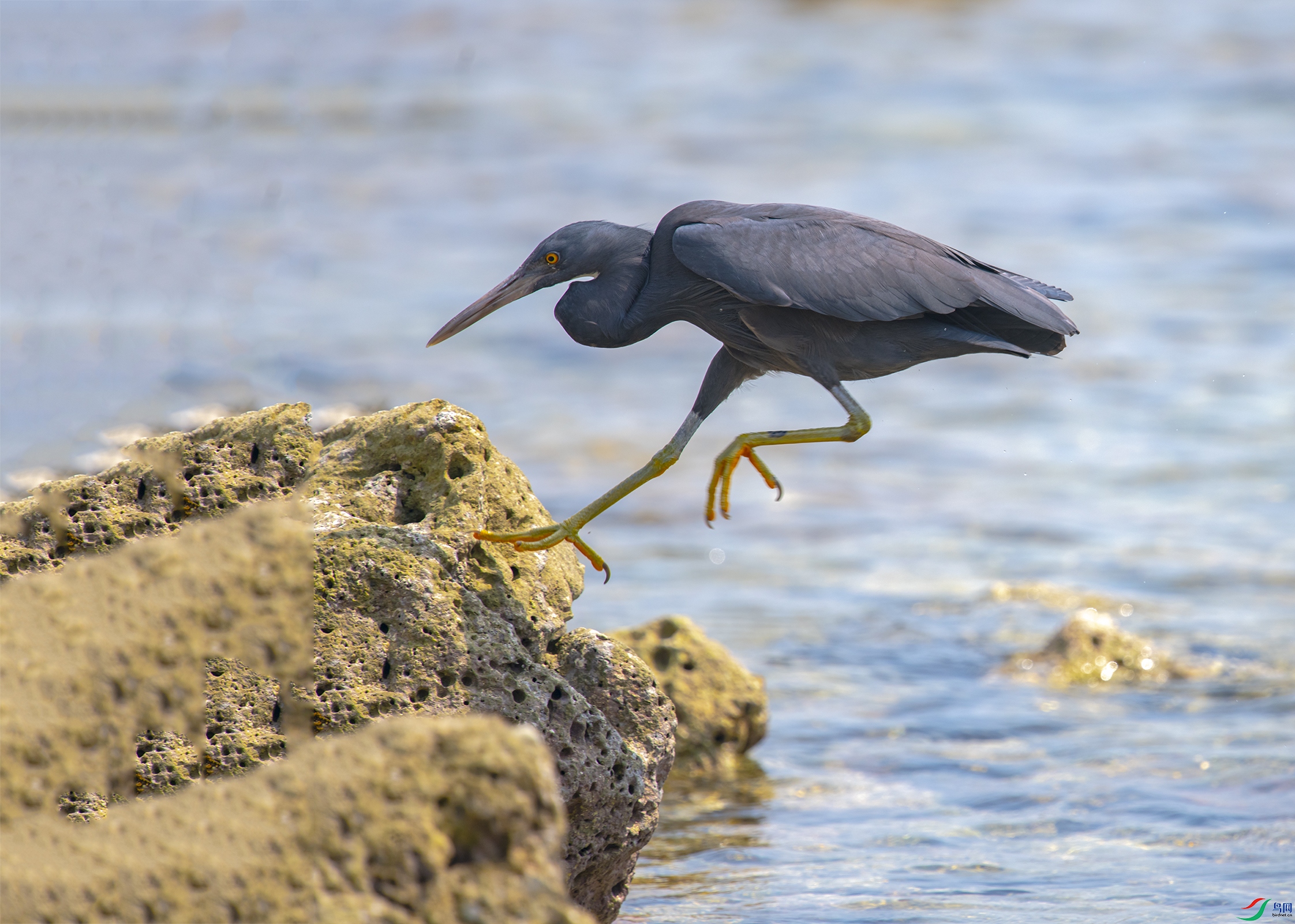 1766 ����.jpg