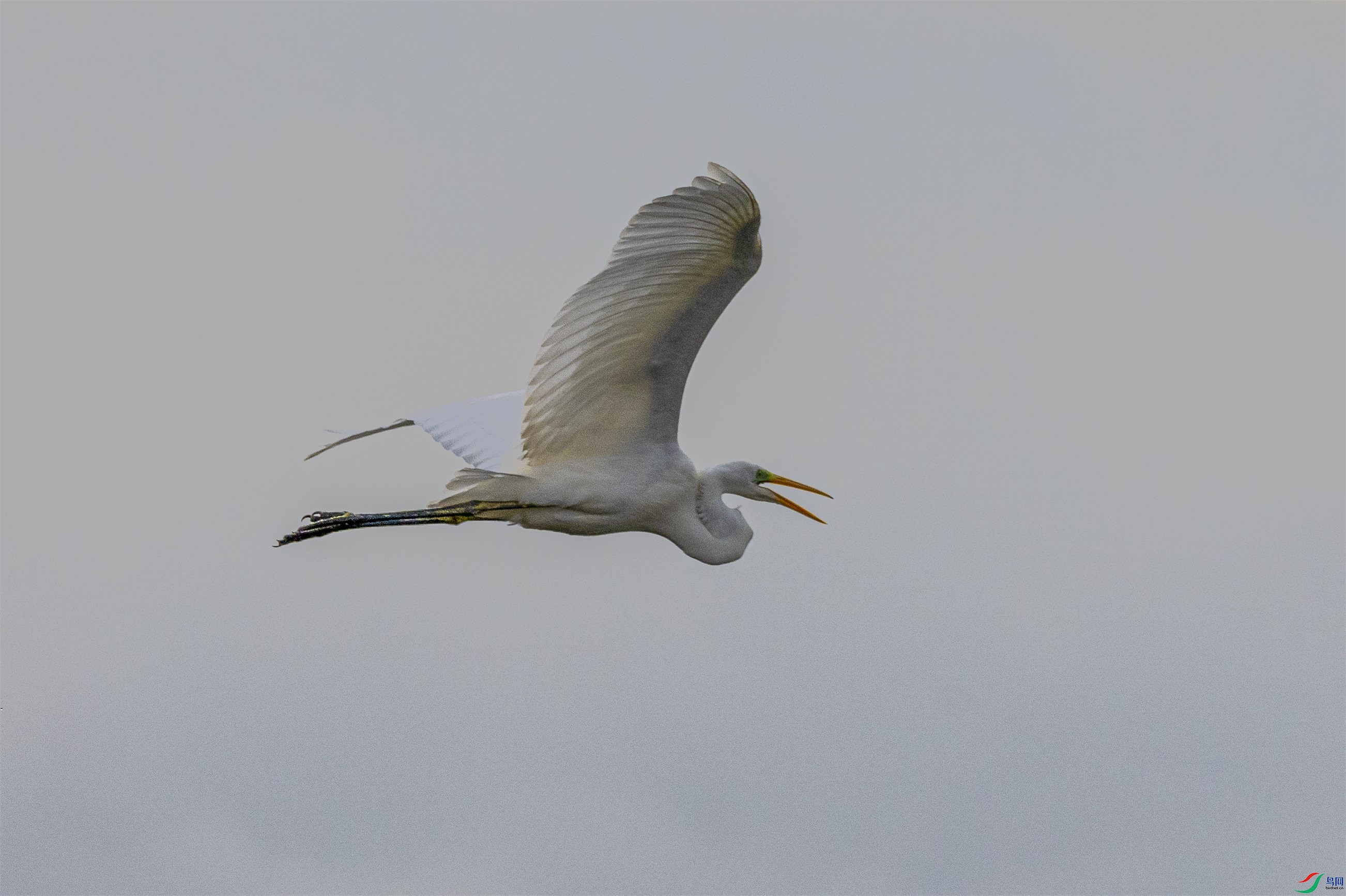 1K3A9351 ����1.jpg