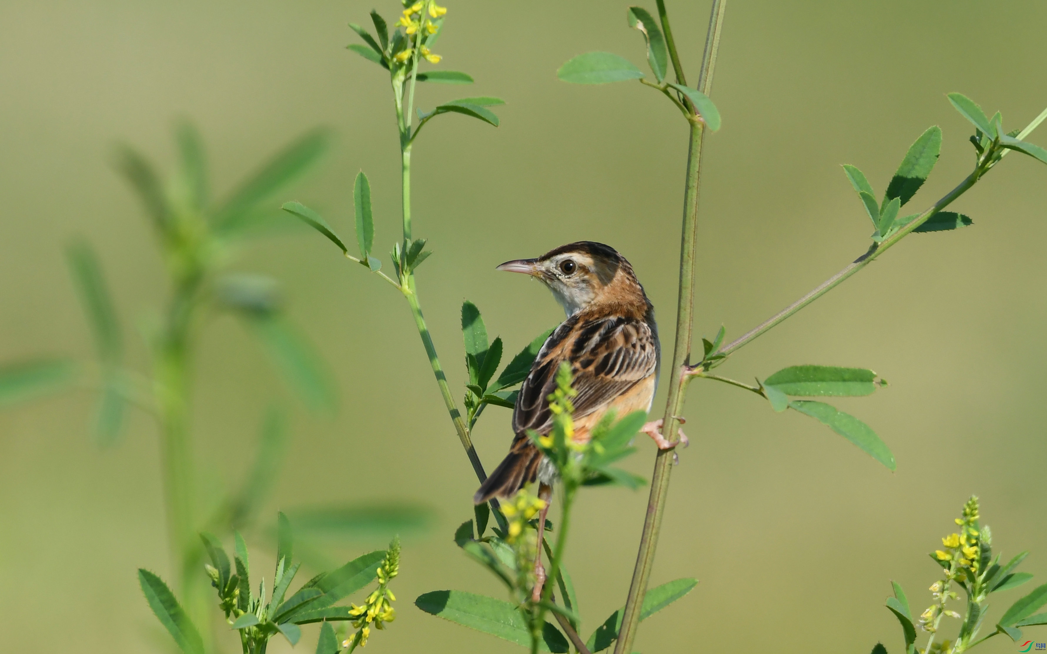 DSC_4030.JPG