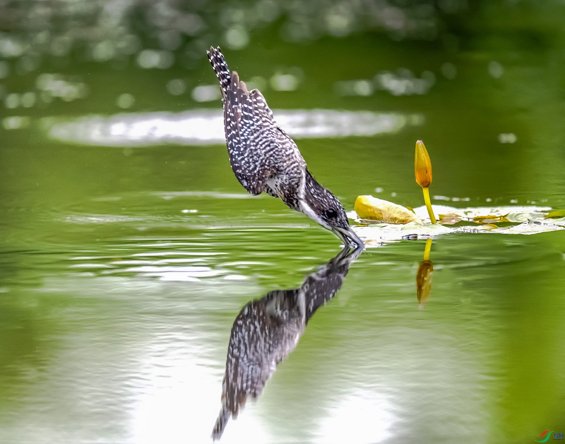 ����һ��