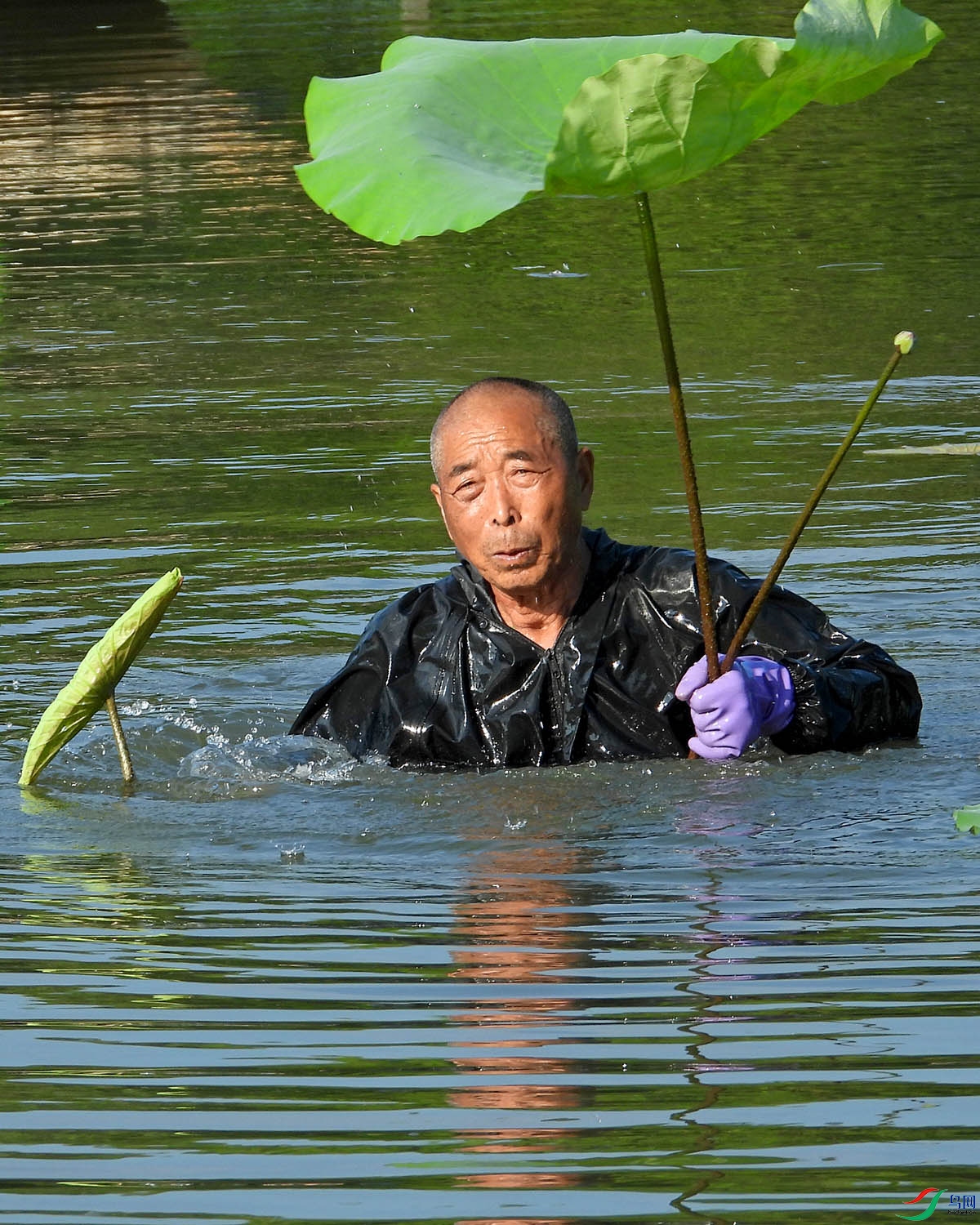 DSCN8976.jpg