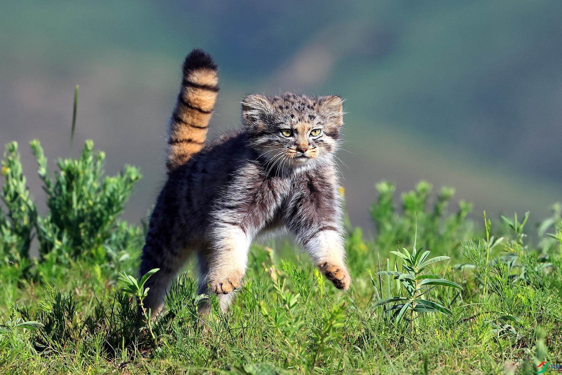 ����0872����.jpg