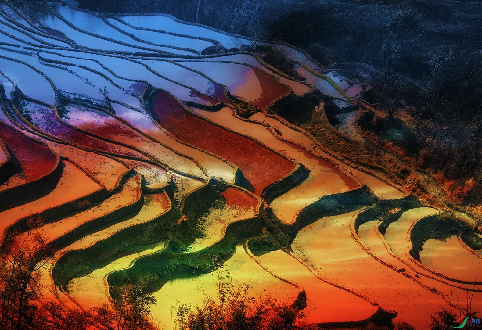 Ԫ������