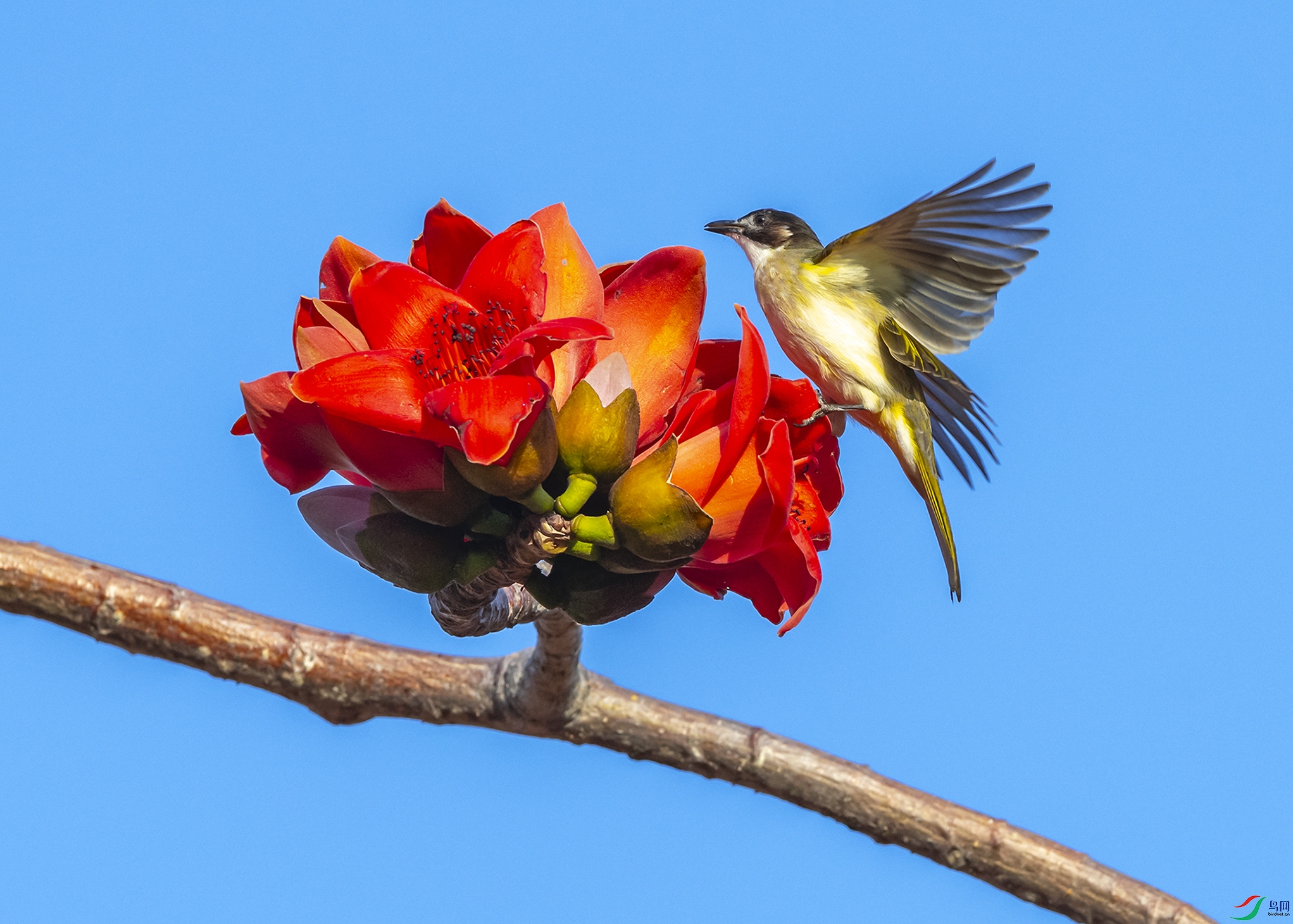 2385 ����.jpg