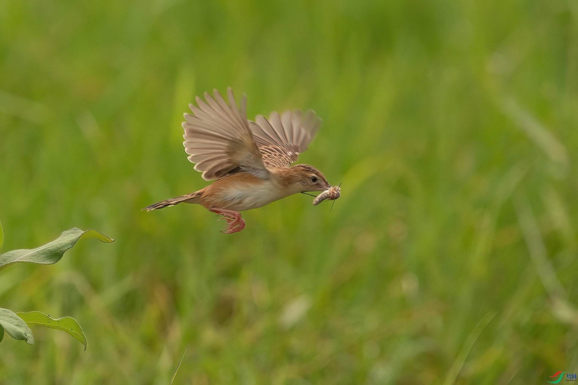 B86I3970 _����.jpg