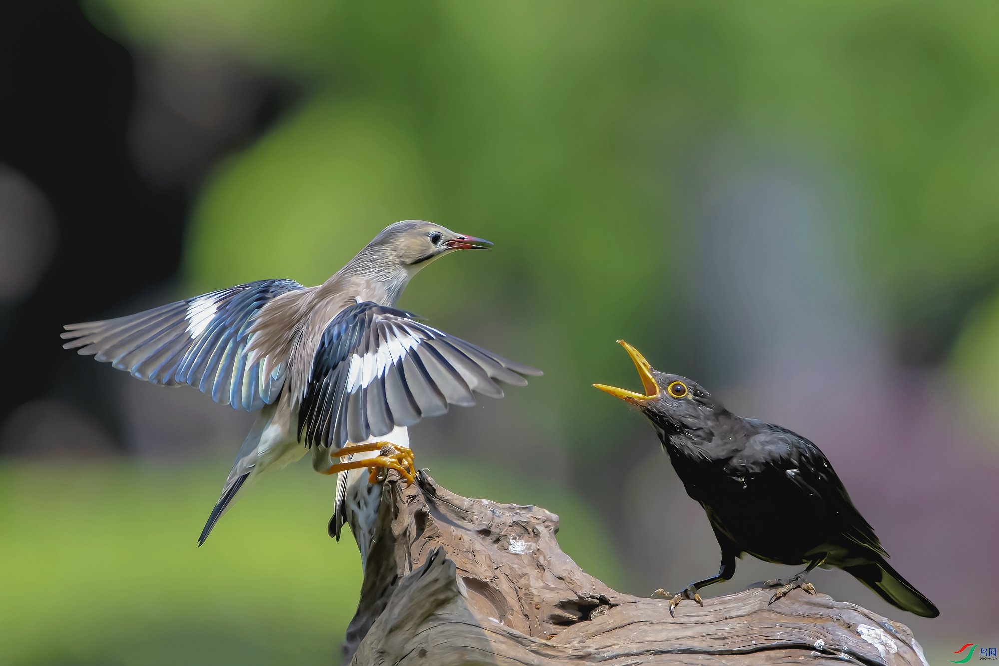 ˿����������