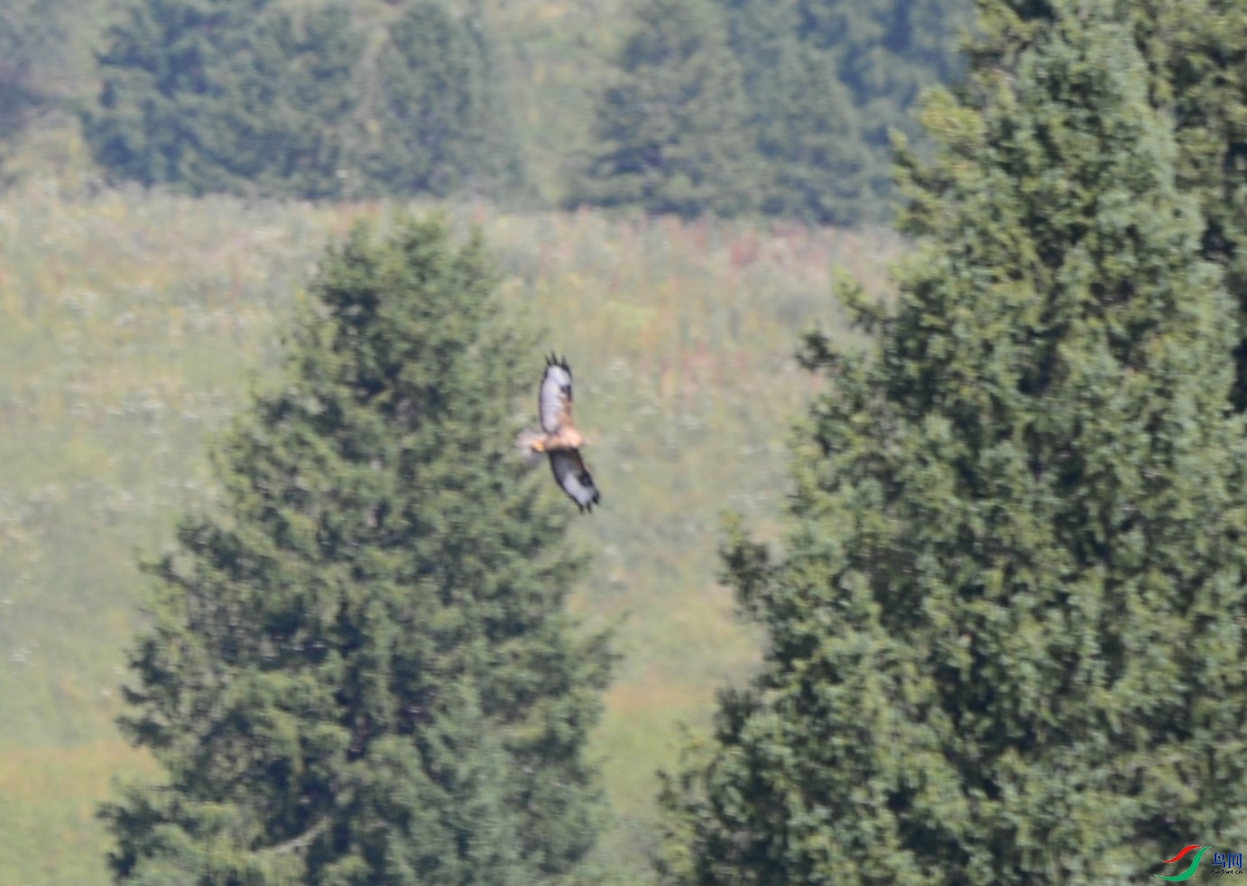 DSC_1220.JPG